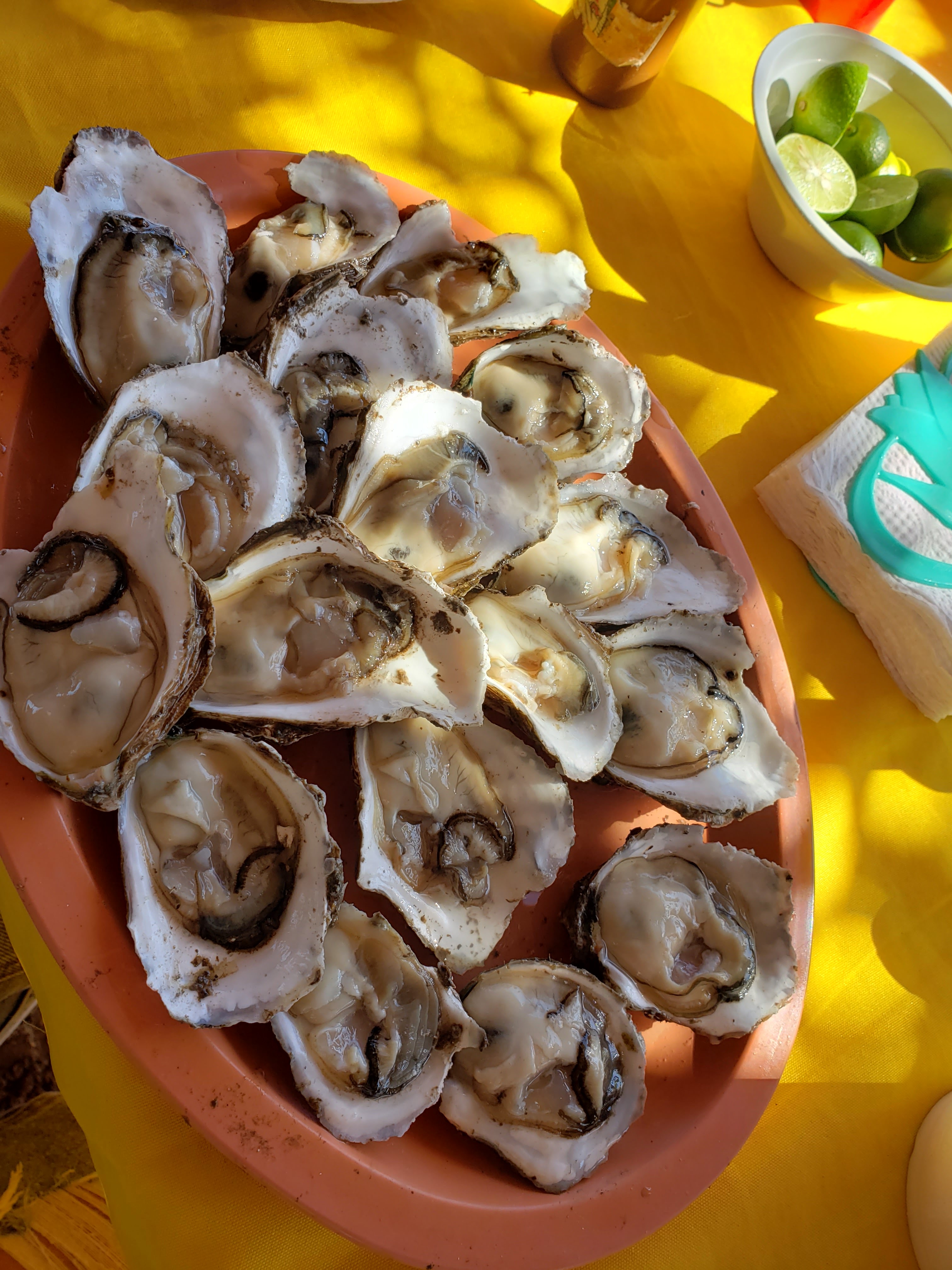 Restaurante La Majagüita image 6