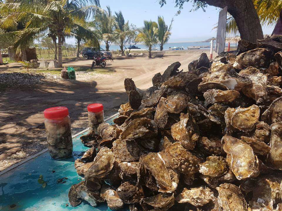 Restaurant de Mariscos La gaviota image 8