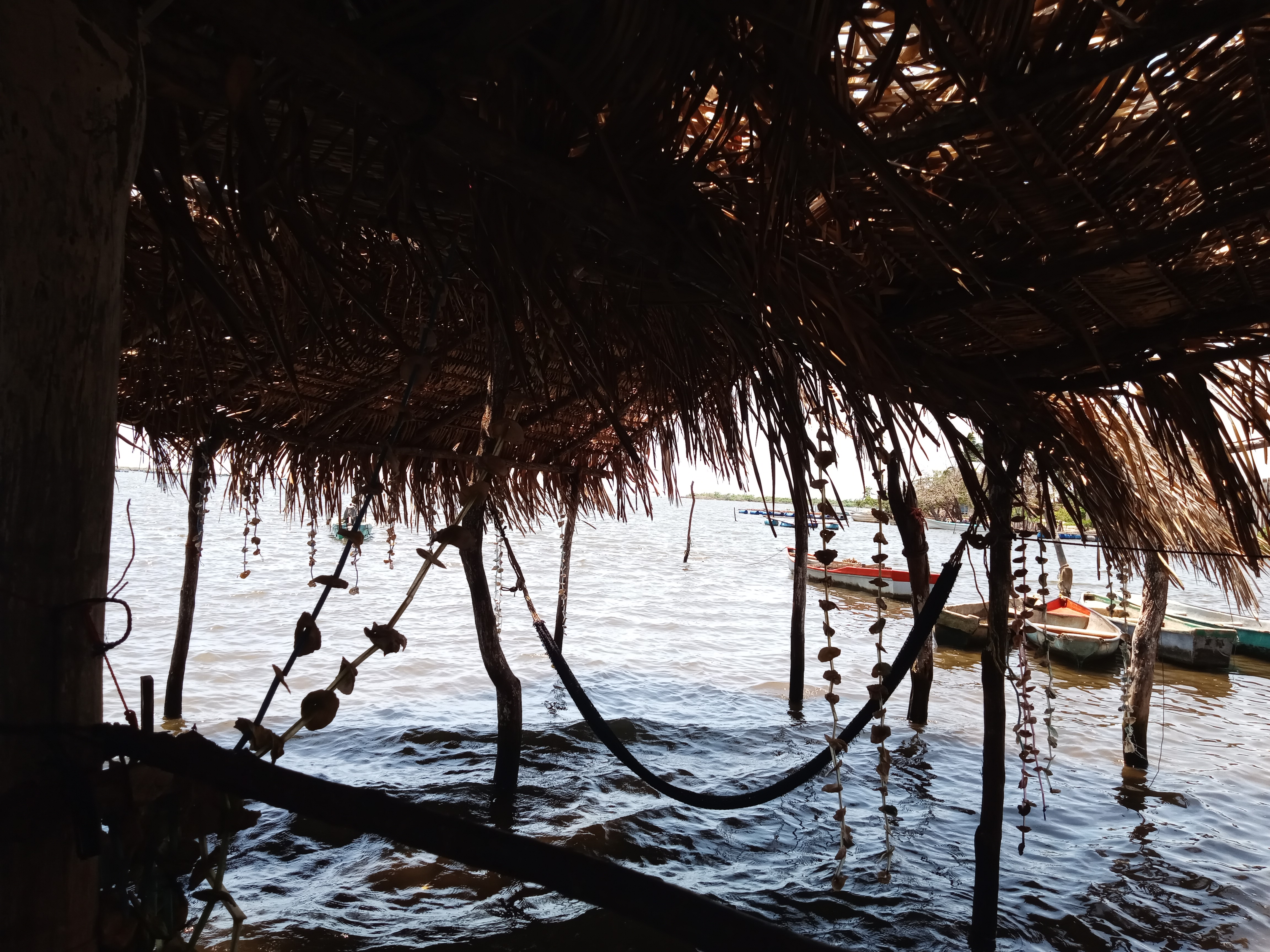 Restaurant de Mariscos La gaviota image 9