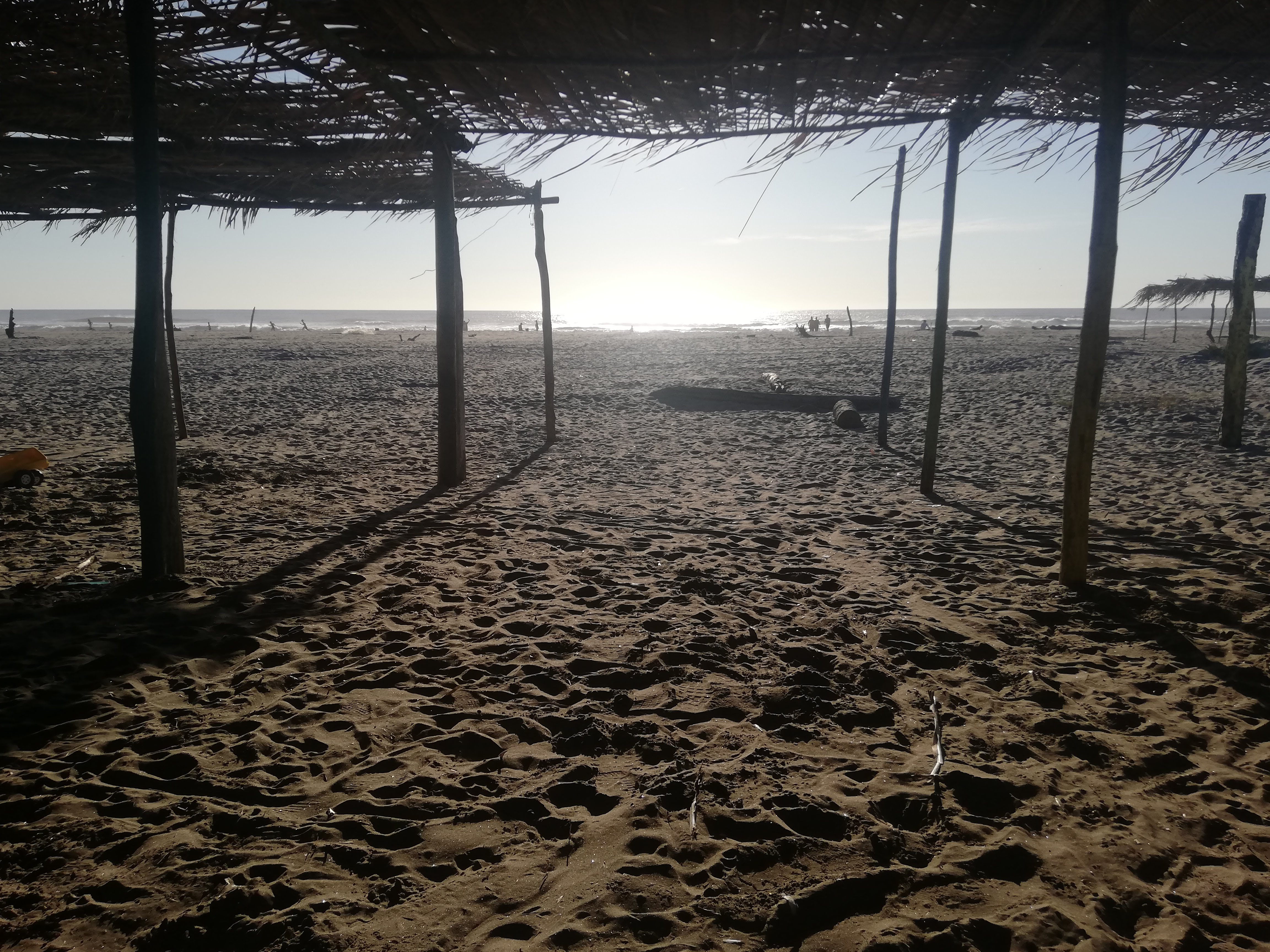 LOS DELFINES restaurant image 6