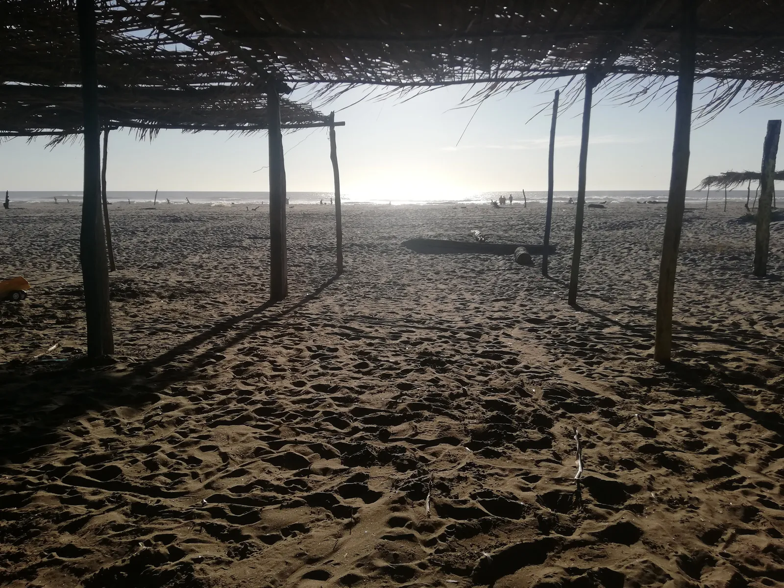 LOS DELFINES restaurant image 6