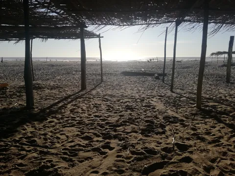 LOS DELFINES restaurant image 6