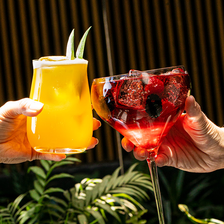 Sonora Prime Puerta de Hierro image 6