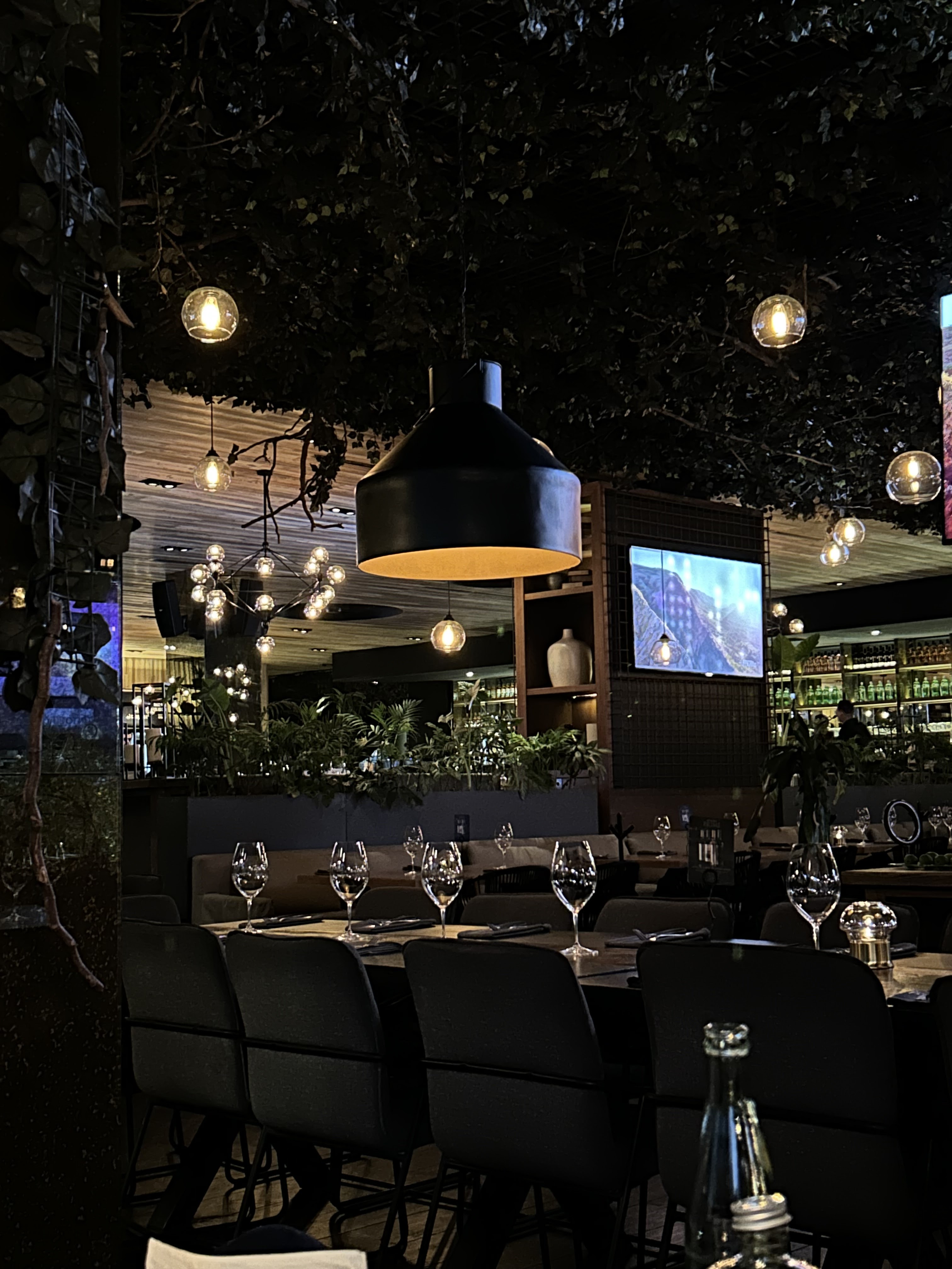 Sonora Prime Puerta de Hierro image 7