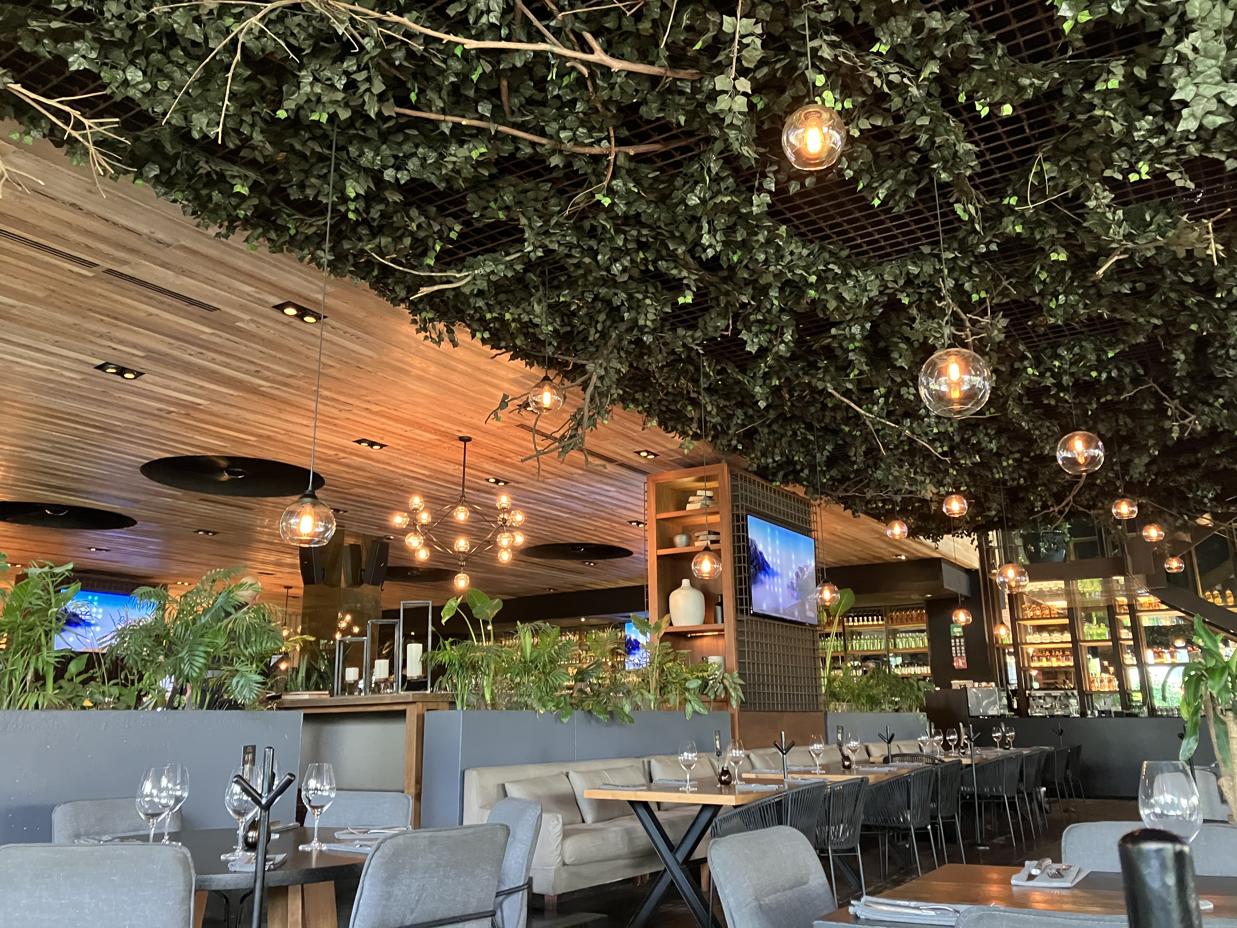 Sonora Prime Puerta de Hierro image 9