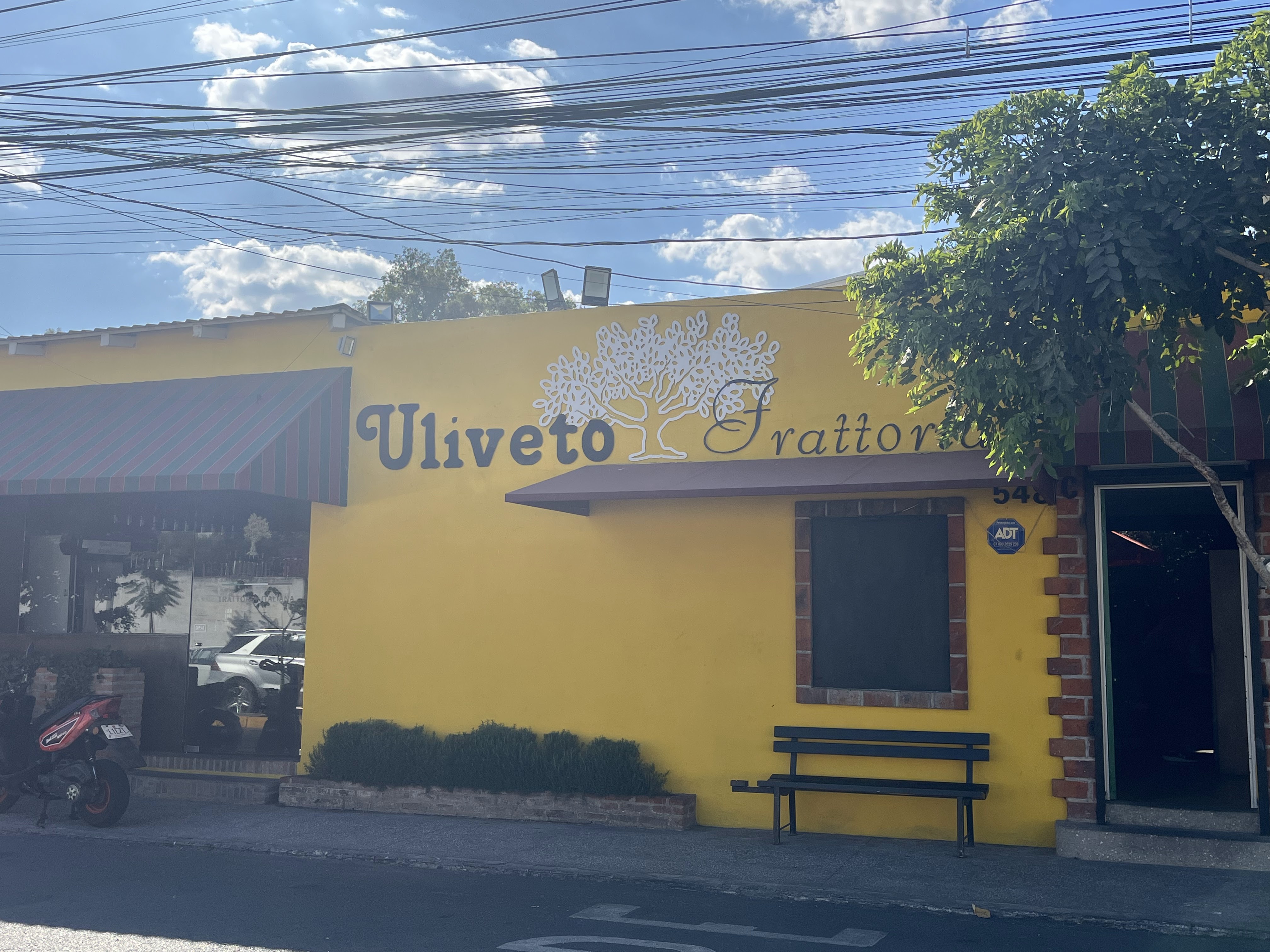 Uliveto Trattoria image 10