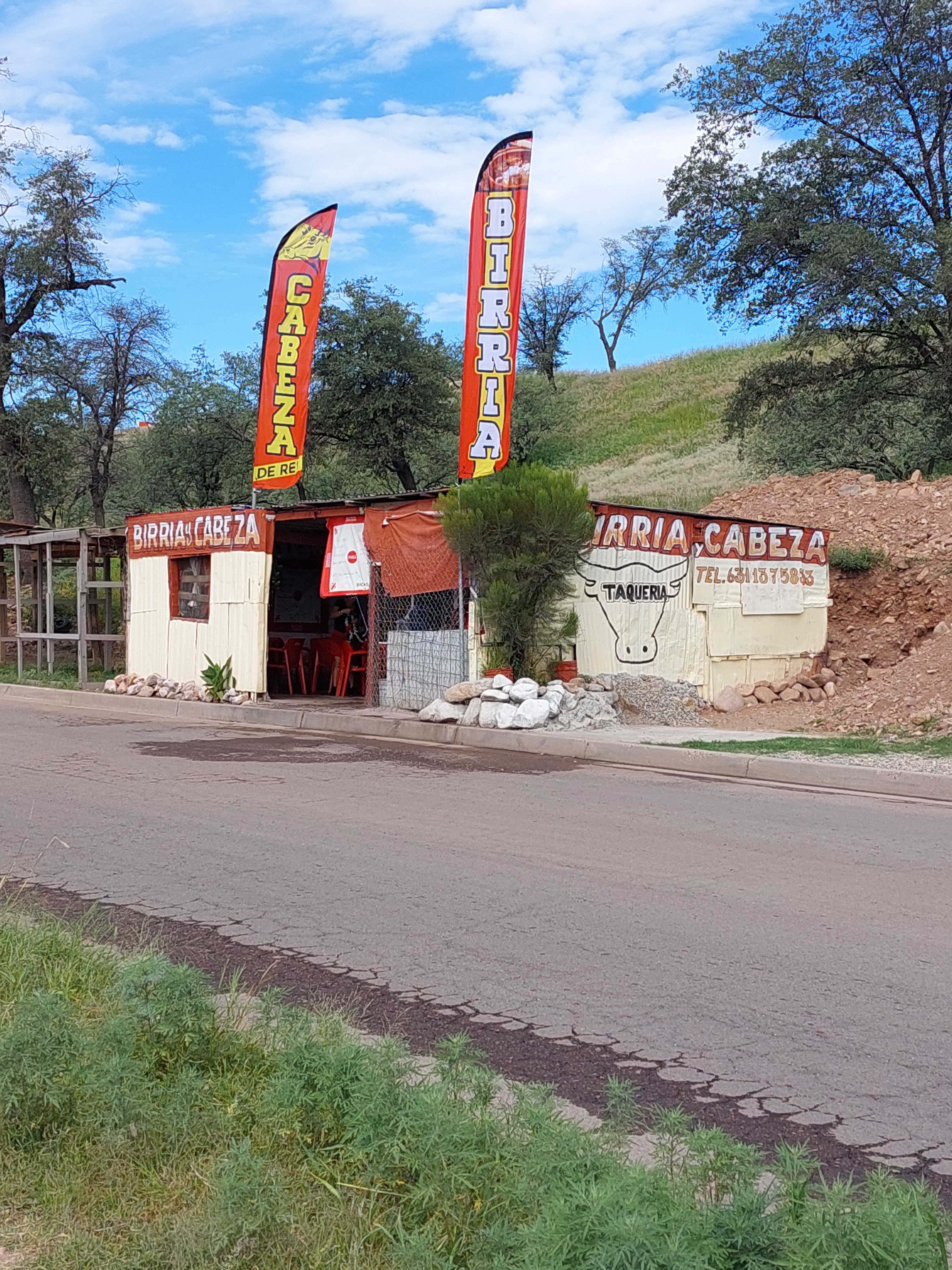 Birria y cabeza guasavito image 1