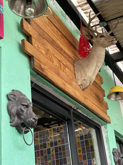 El Rojo Mexican Restaurant image 1