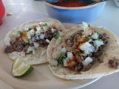 El Patron image 1