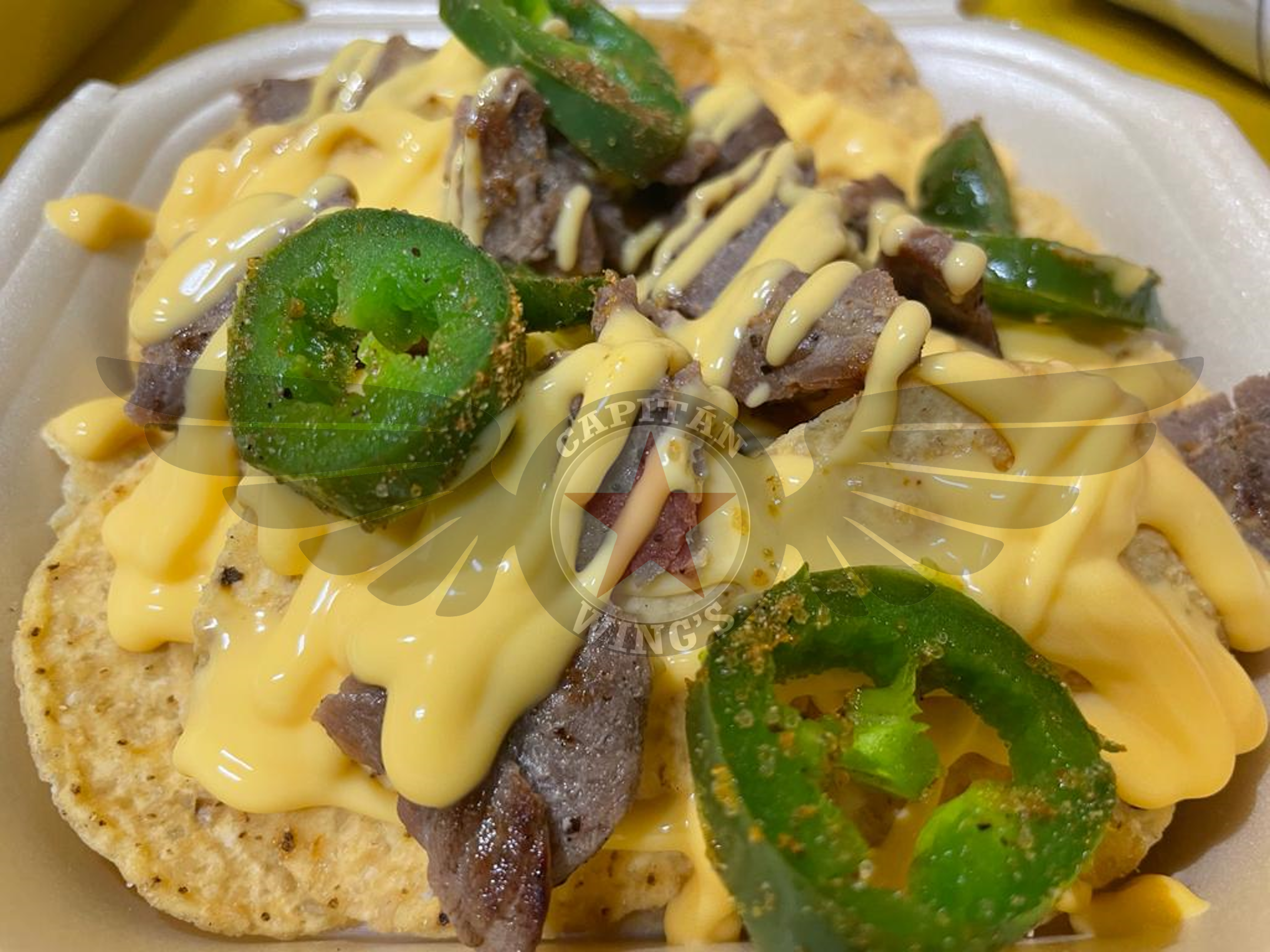 Capitán WINGS image 6