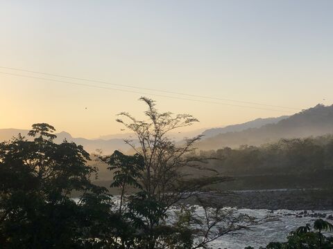 Licuados "Montse" image 1