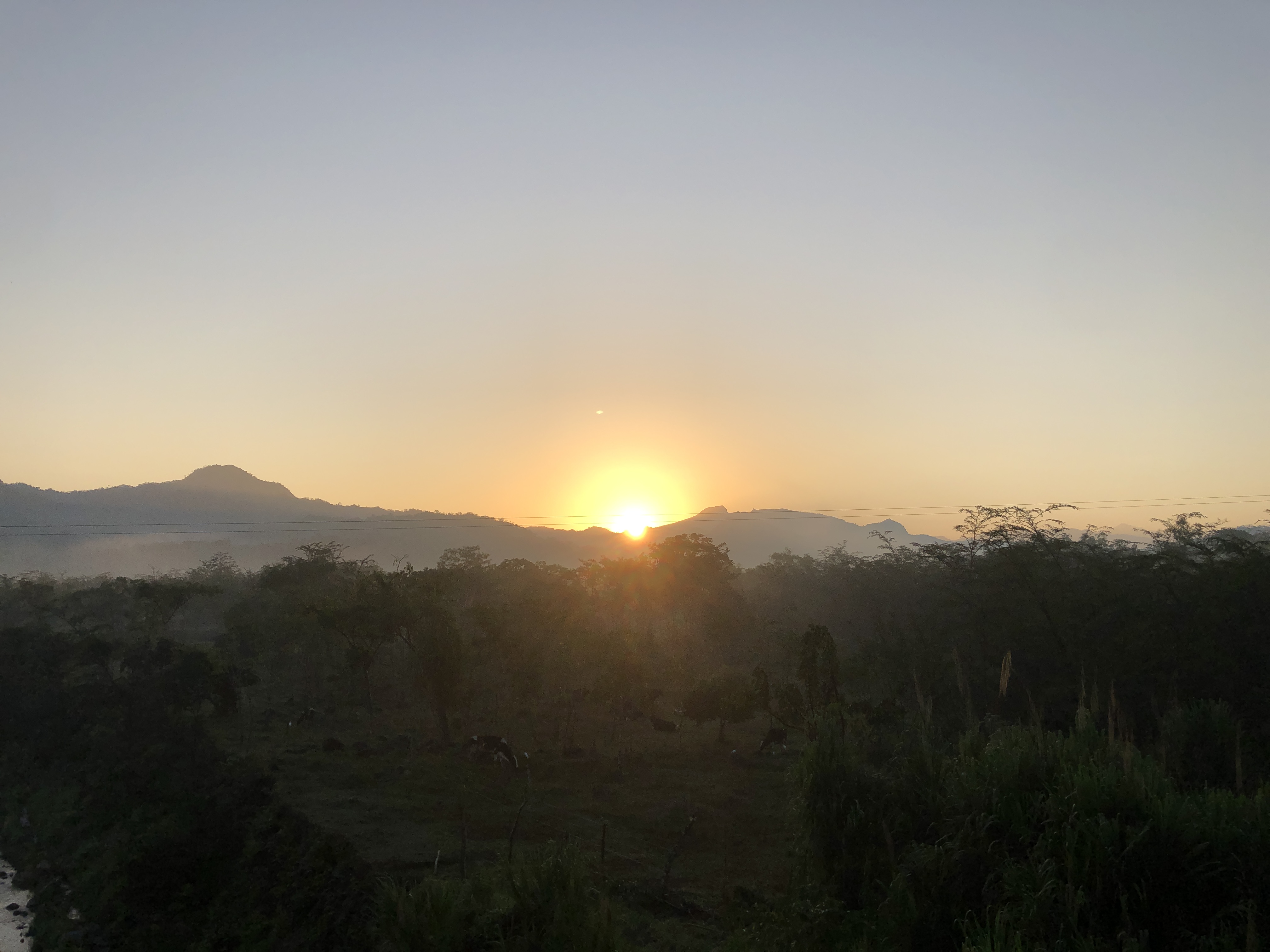 Licuados "Montse" image 2