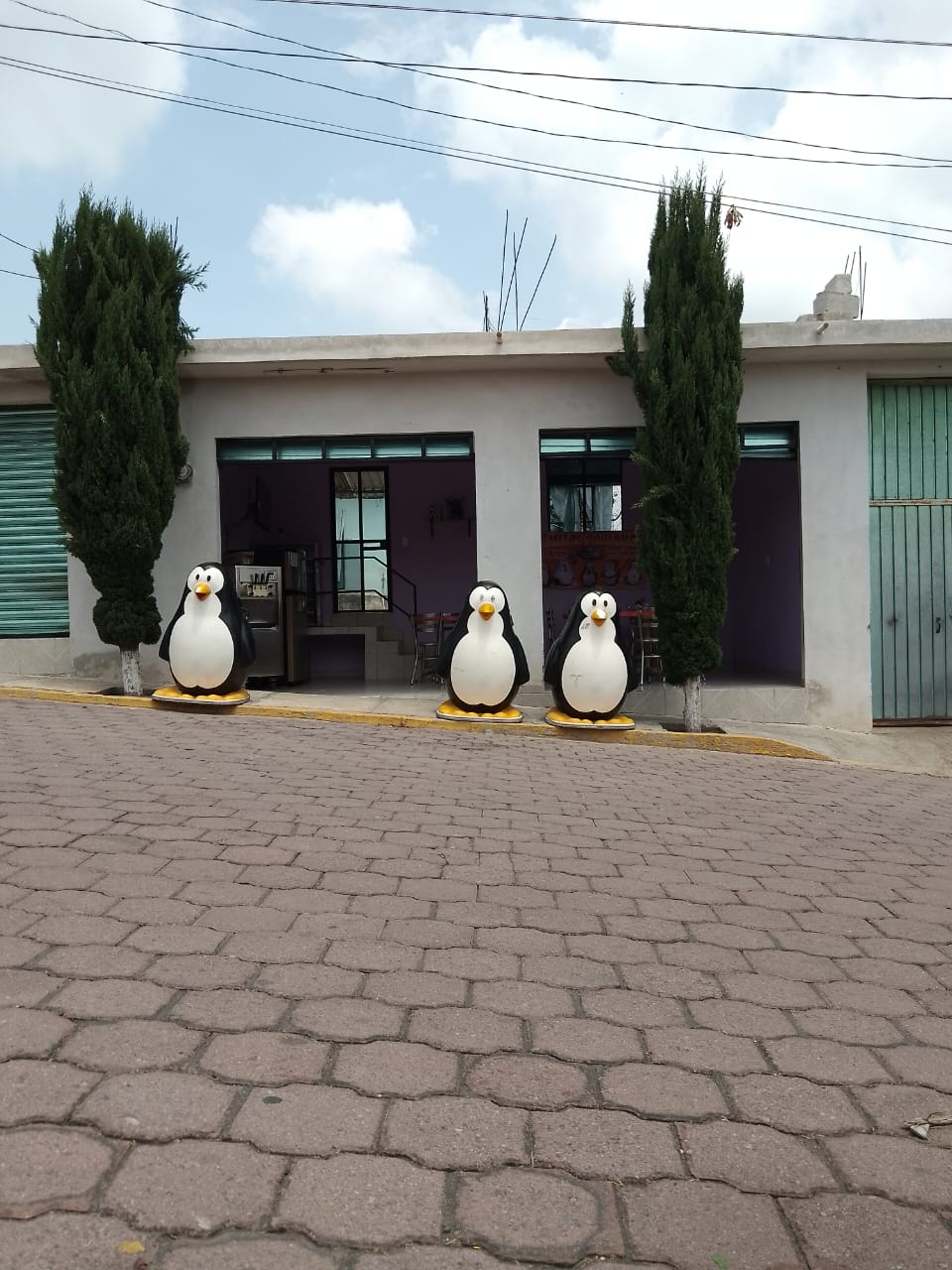 Casa los Nogales image 7