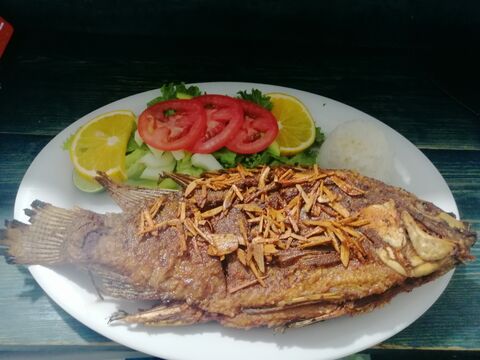 MARISCOS LA MOJARRITA image 1