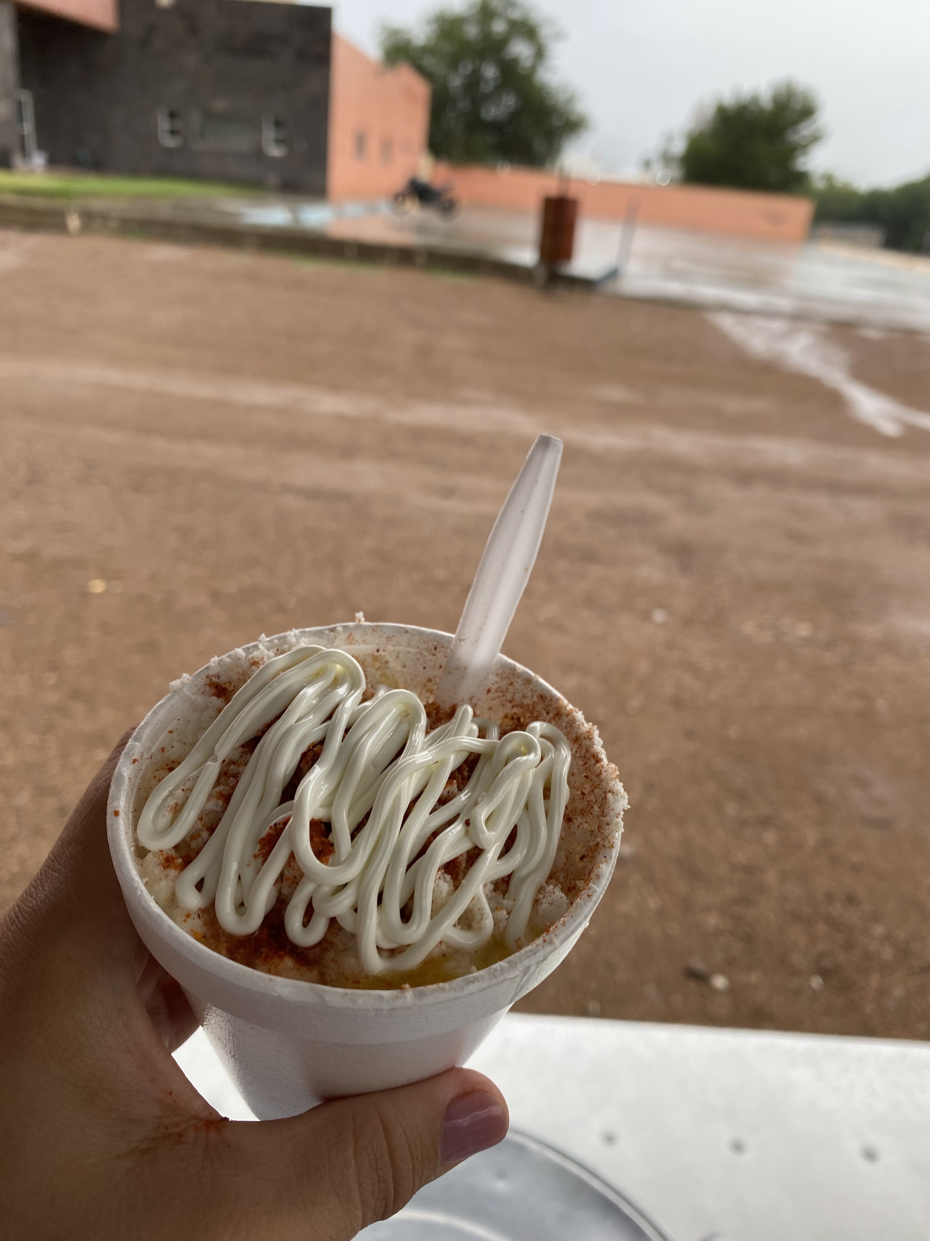 Elotes EL INGE image 6