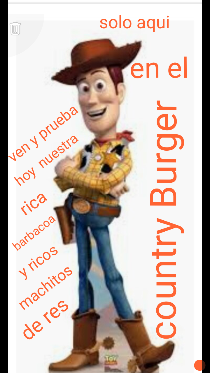 Country burguer image 2