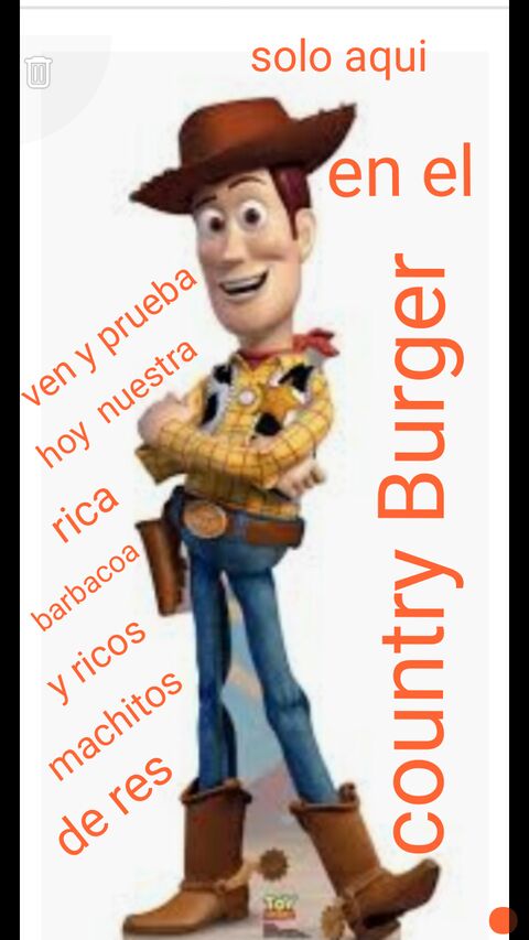 Country burguer image 2