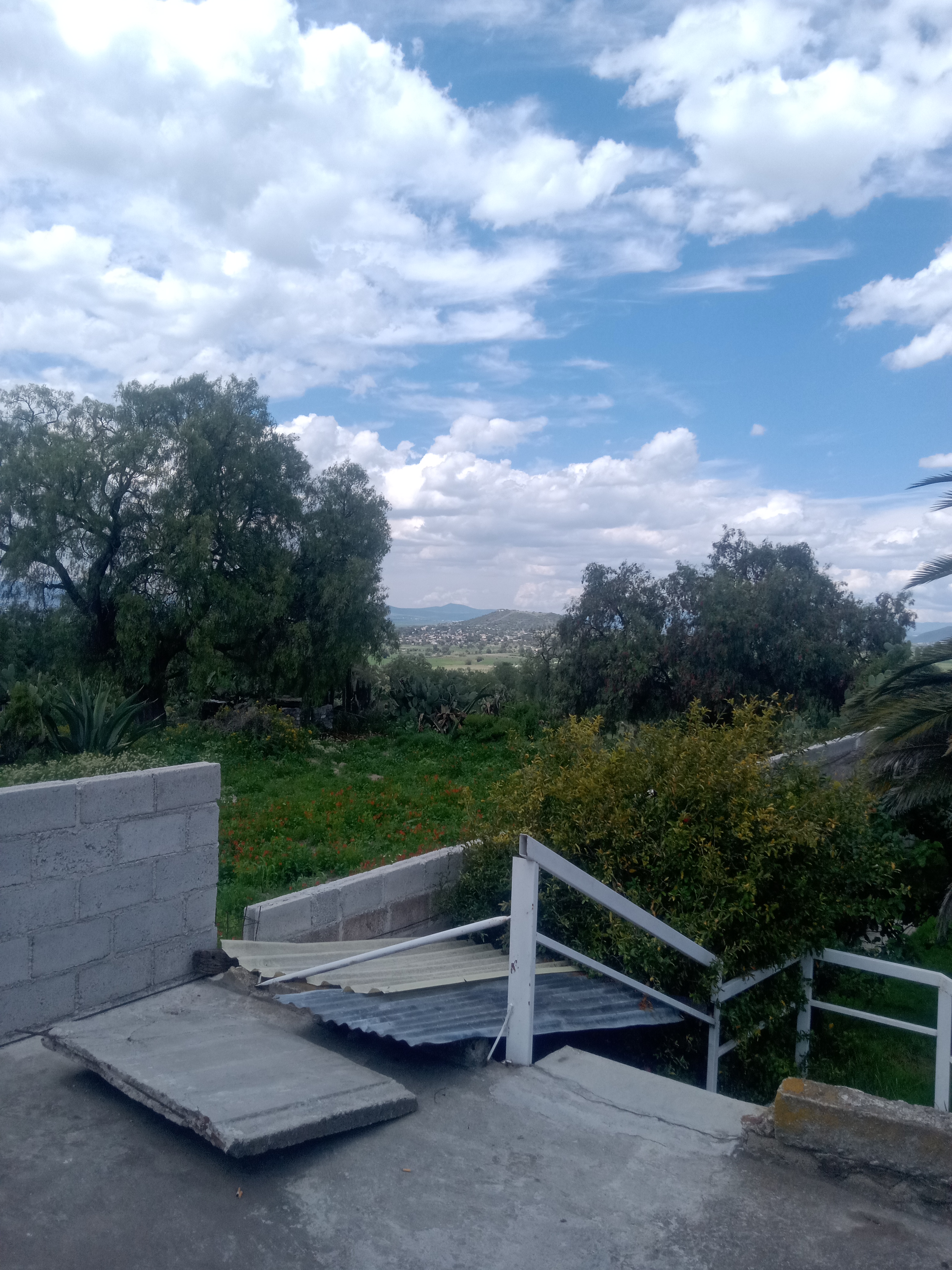 El Riconcito de Teacalco image 7