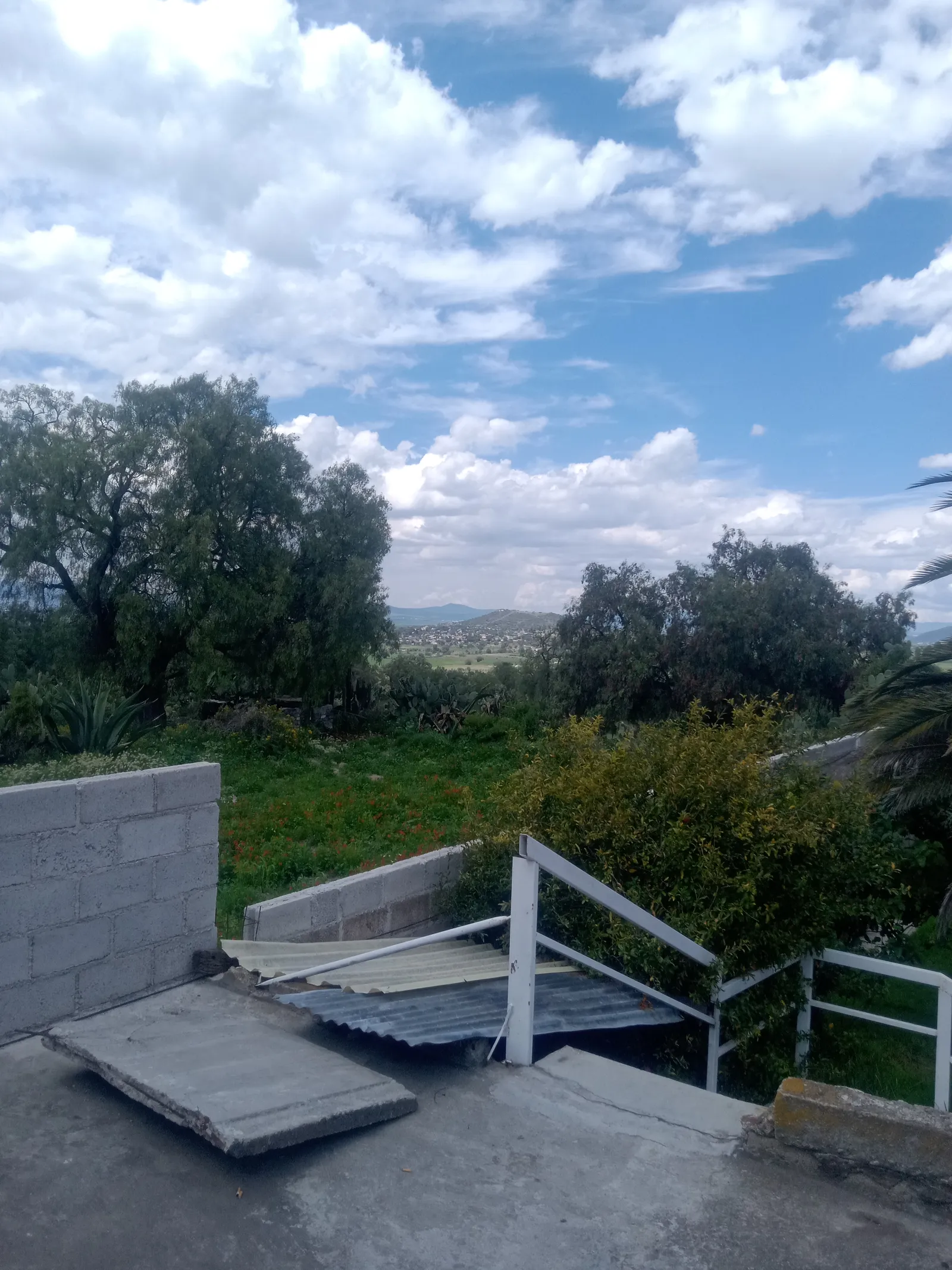 El Riconcito de Teacalco image 7