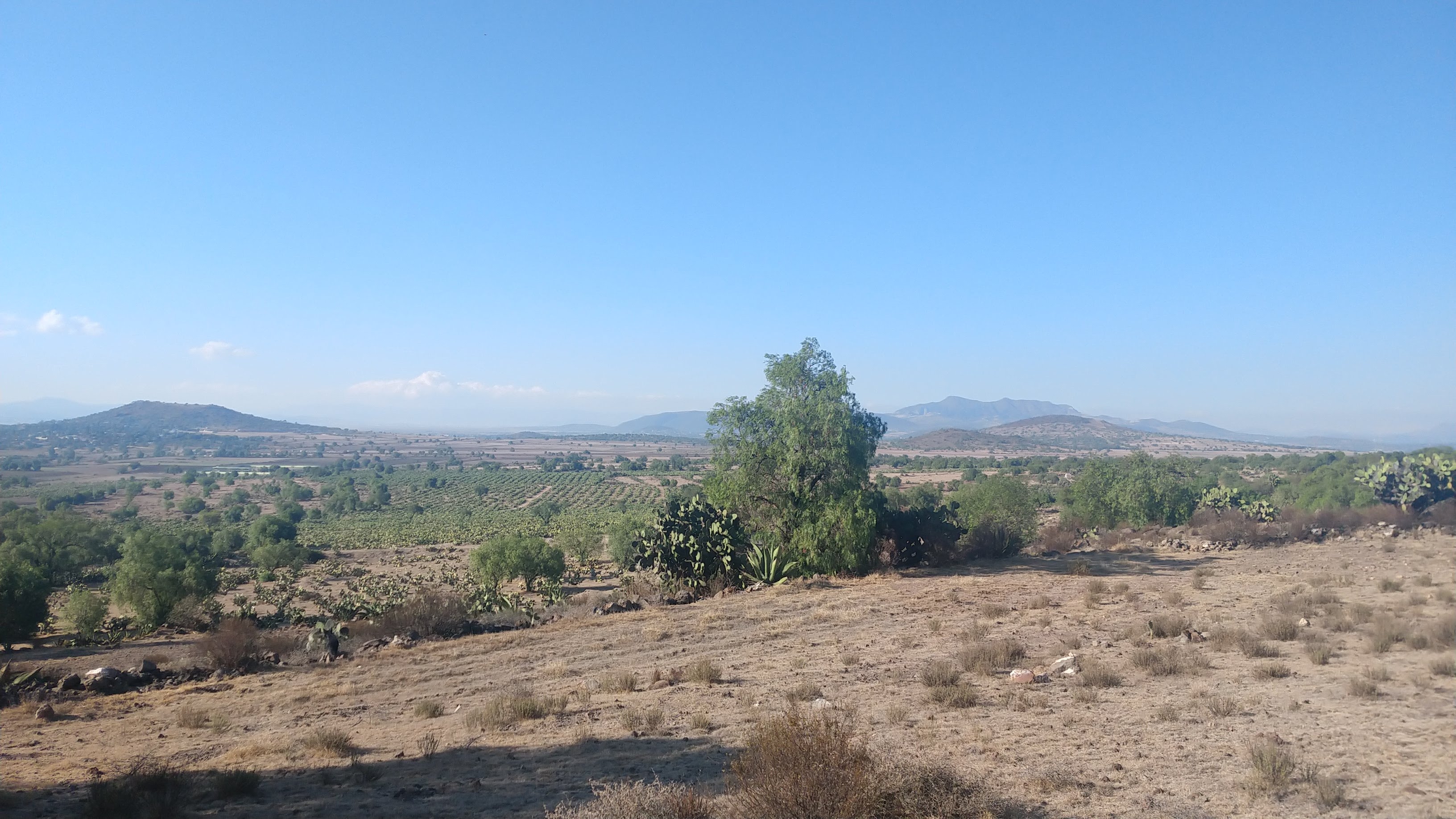 El Riconcito de Teacalco image 10