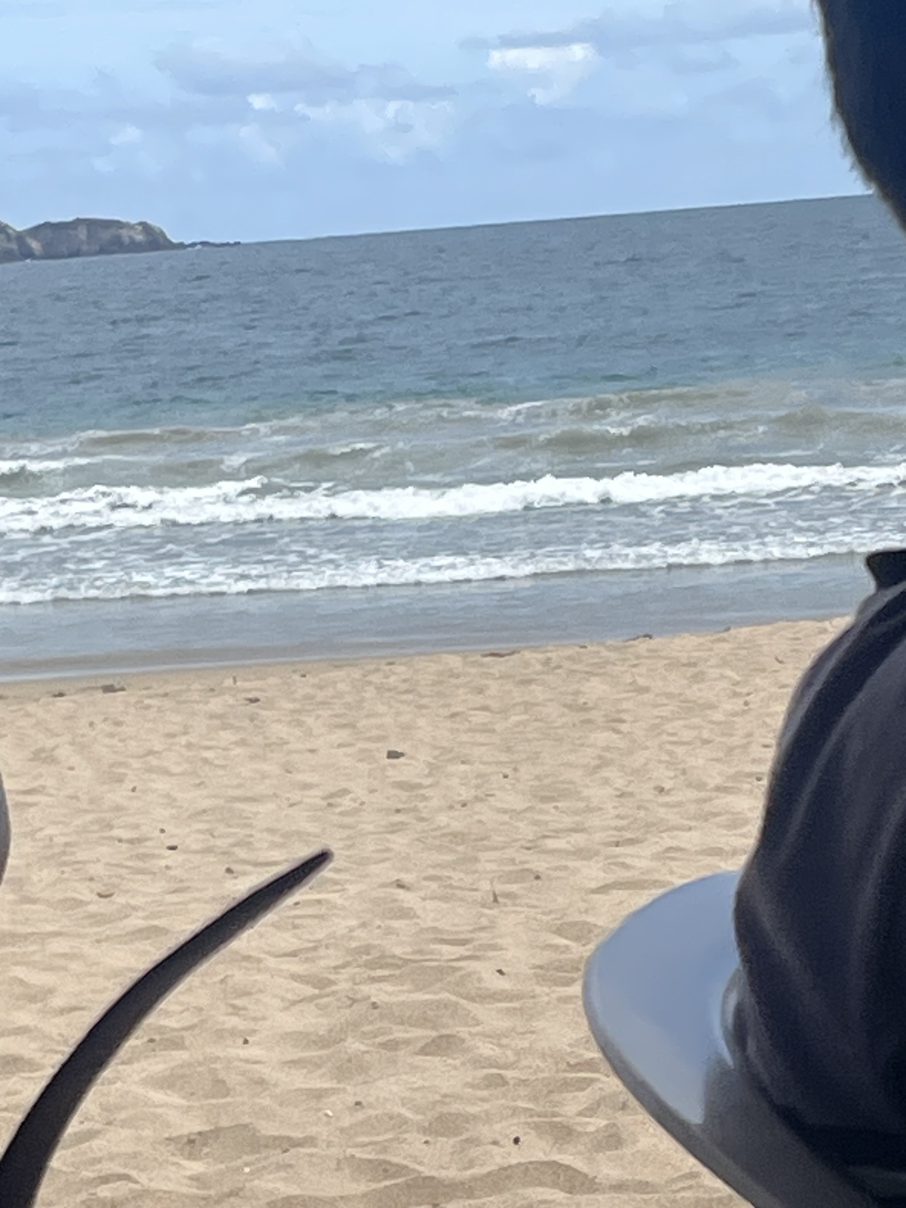 Mariscos chee chee image 7