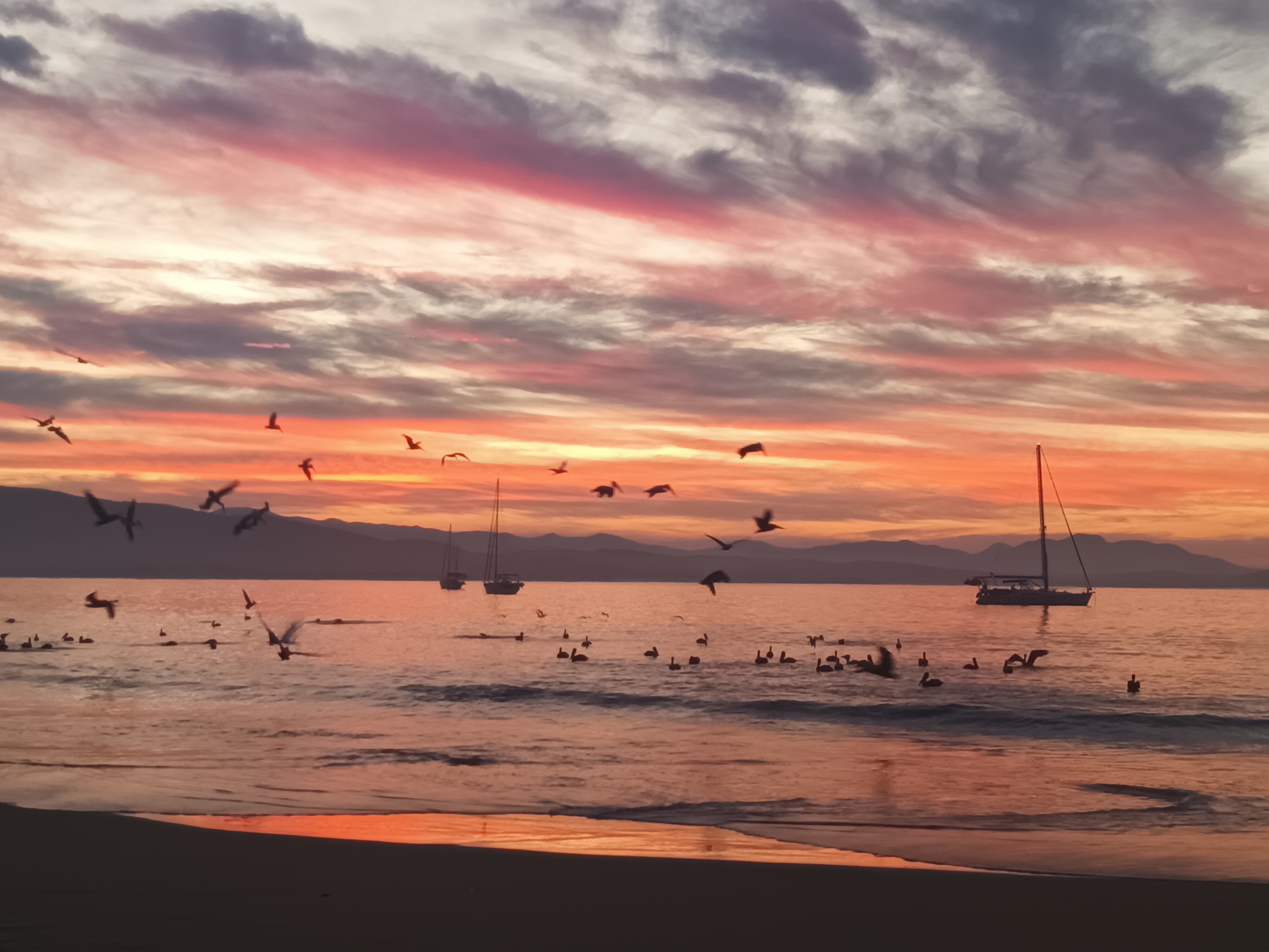 Restaurante Jabalin image 6