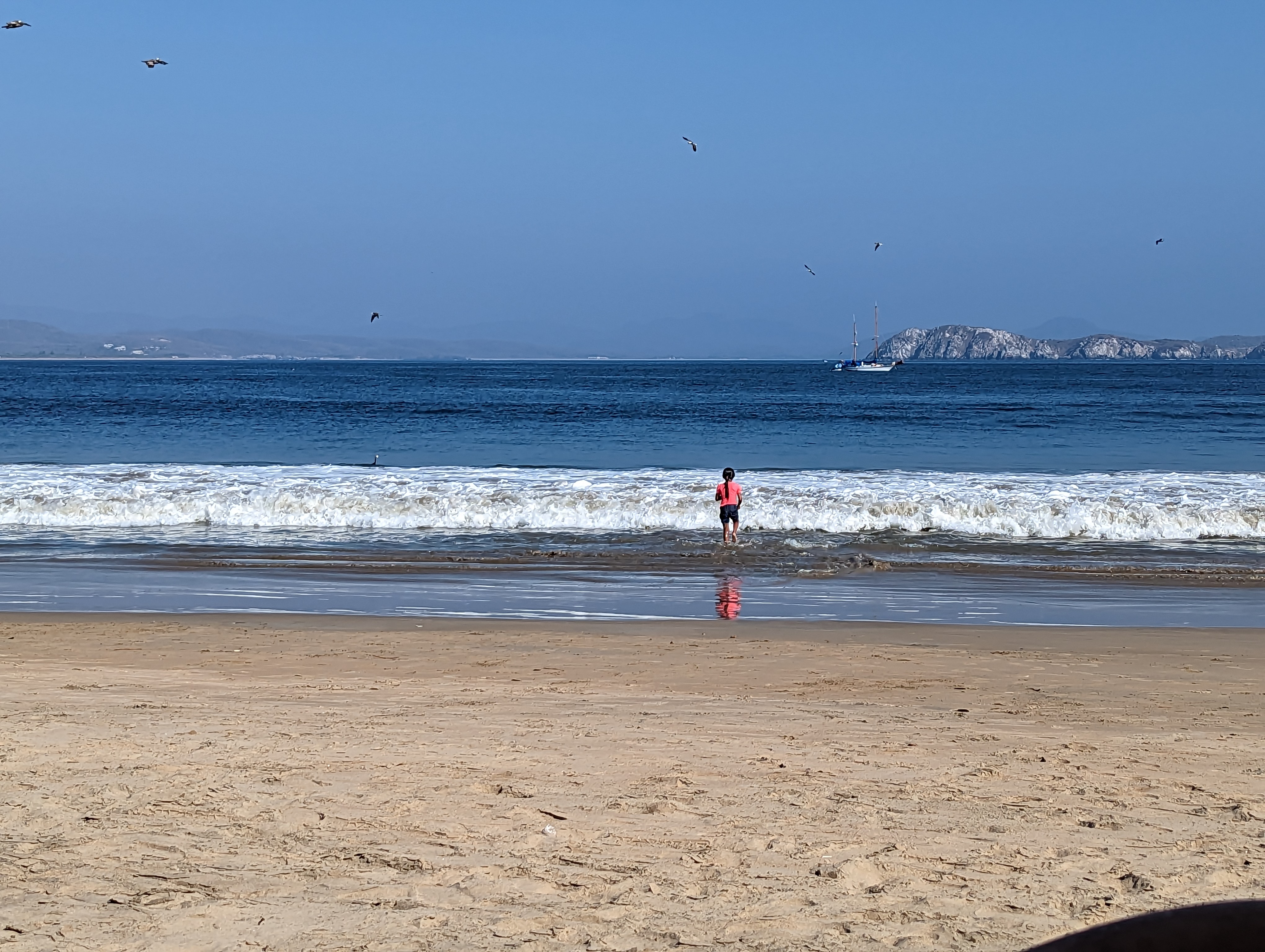 Monica’s Palapa Seafood & Steakhouse image 2