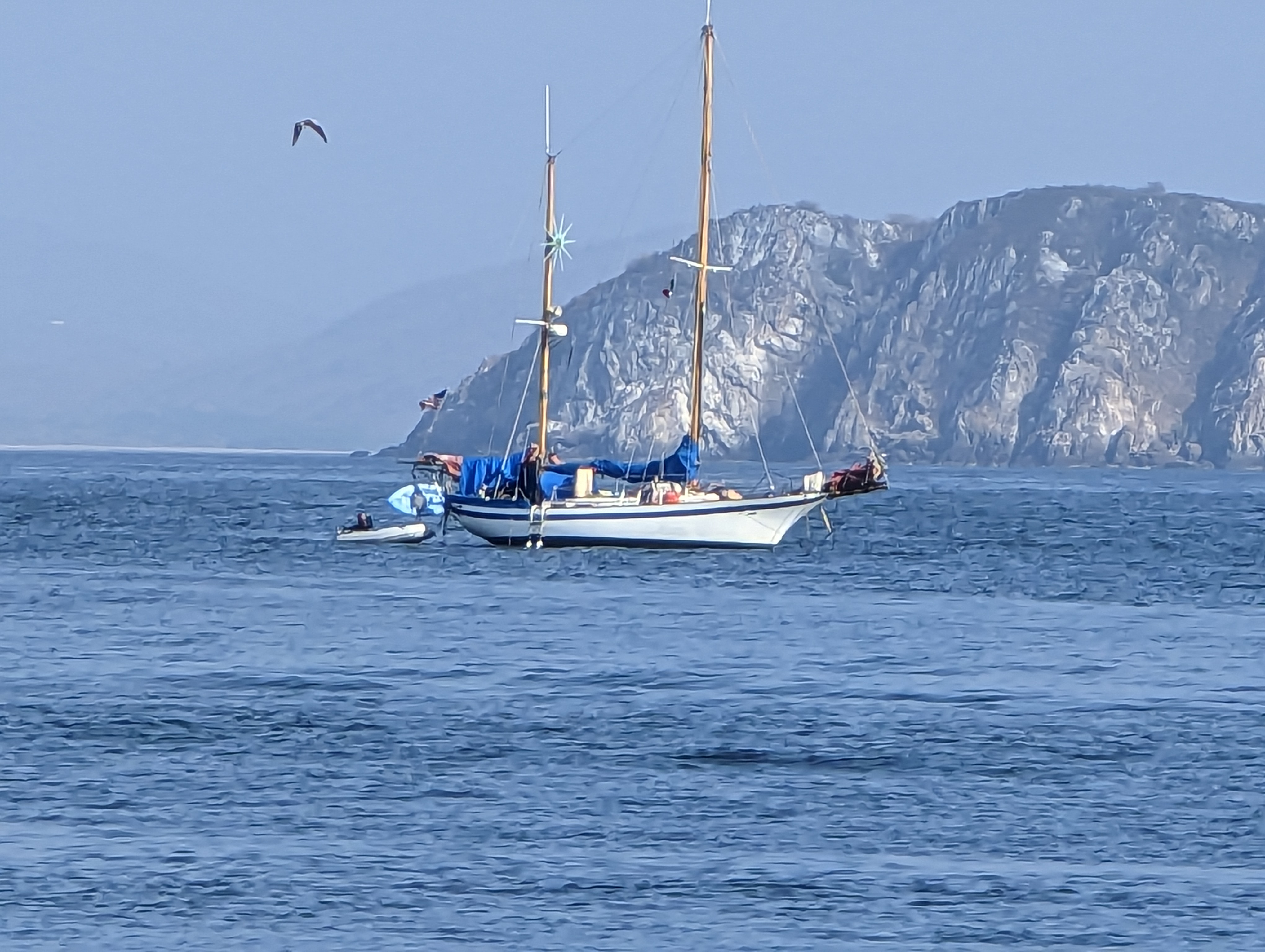 Monica’s Palapa Seafood & Steakhouse image 7