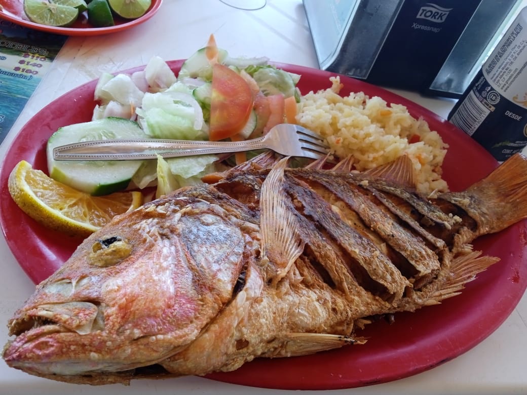 Restaurante Santon image 1