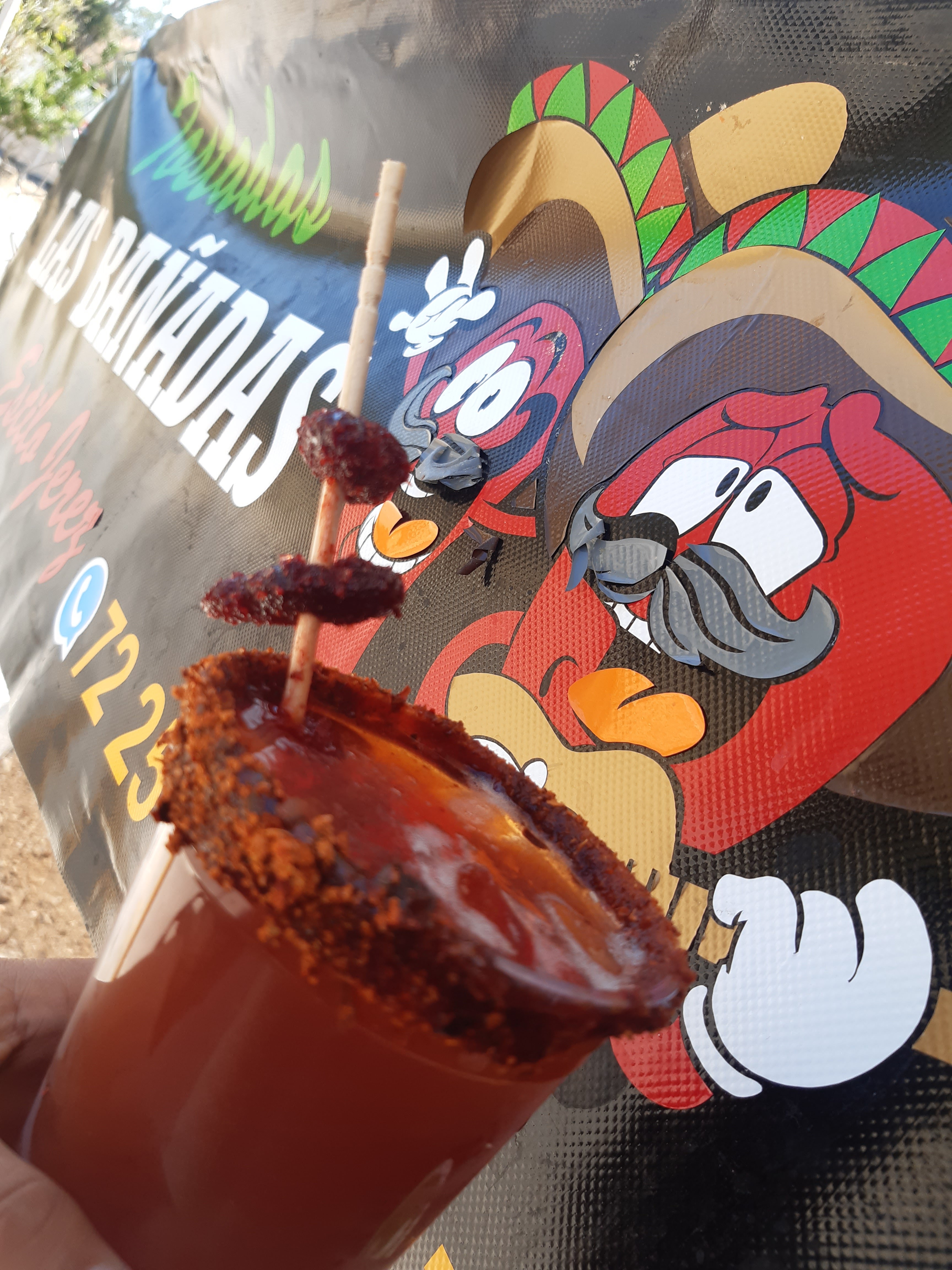 LAS BAÑADAS ESTILO JEREZ ZAC. image 3