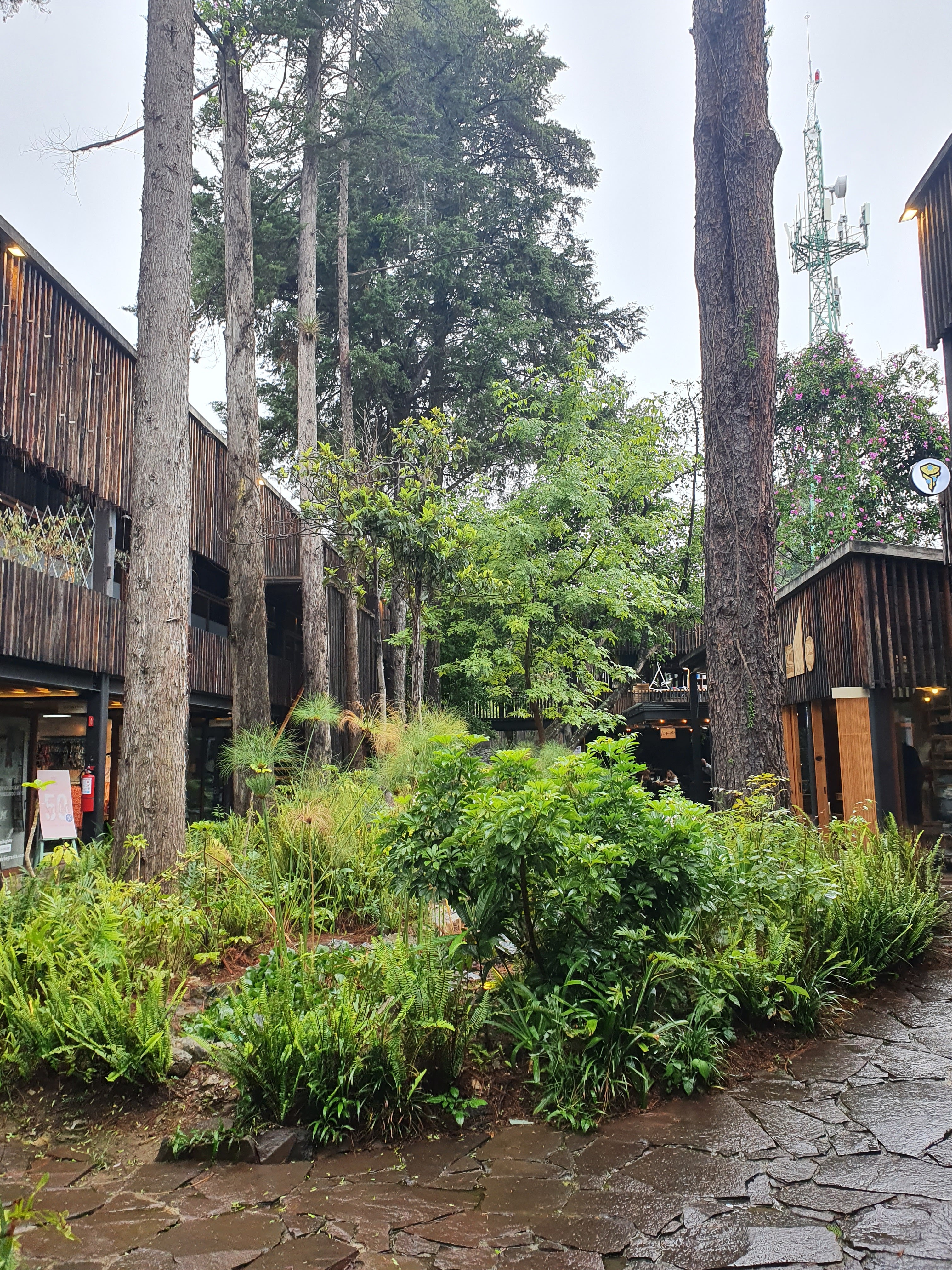 Degustando Avandaro image 3