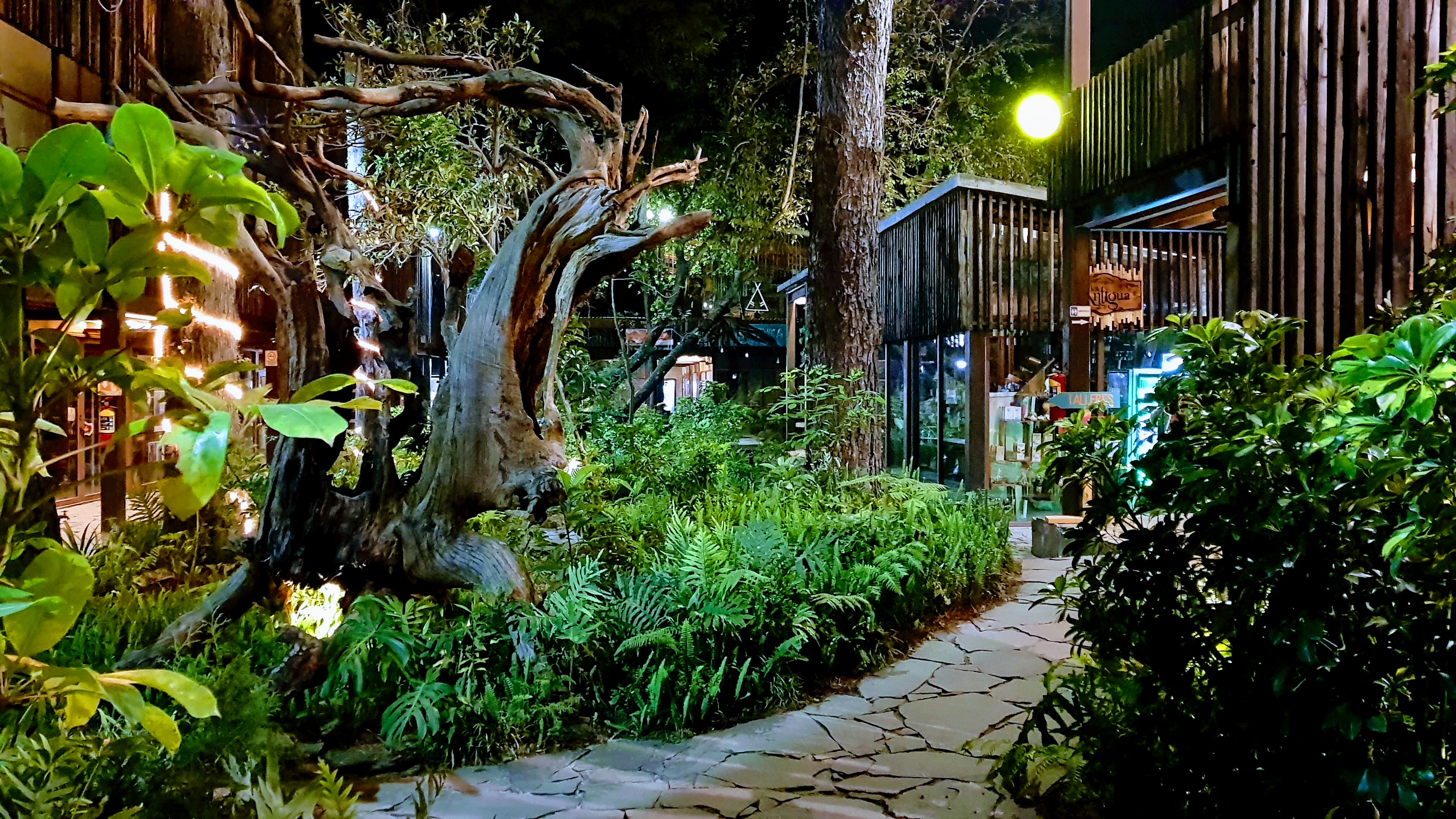 Degustando Avandaro image 6