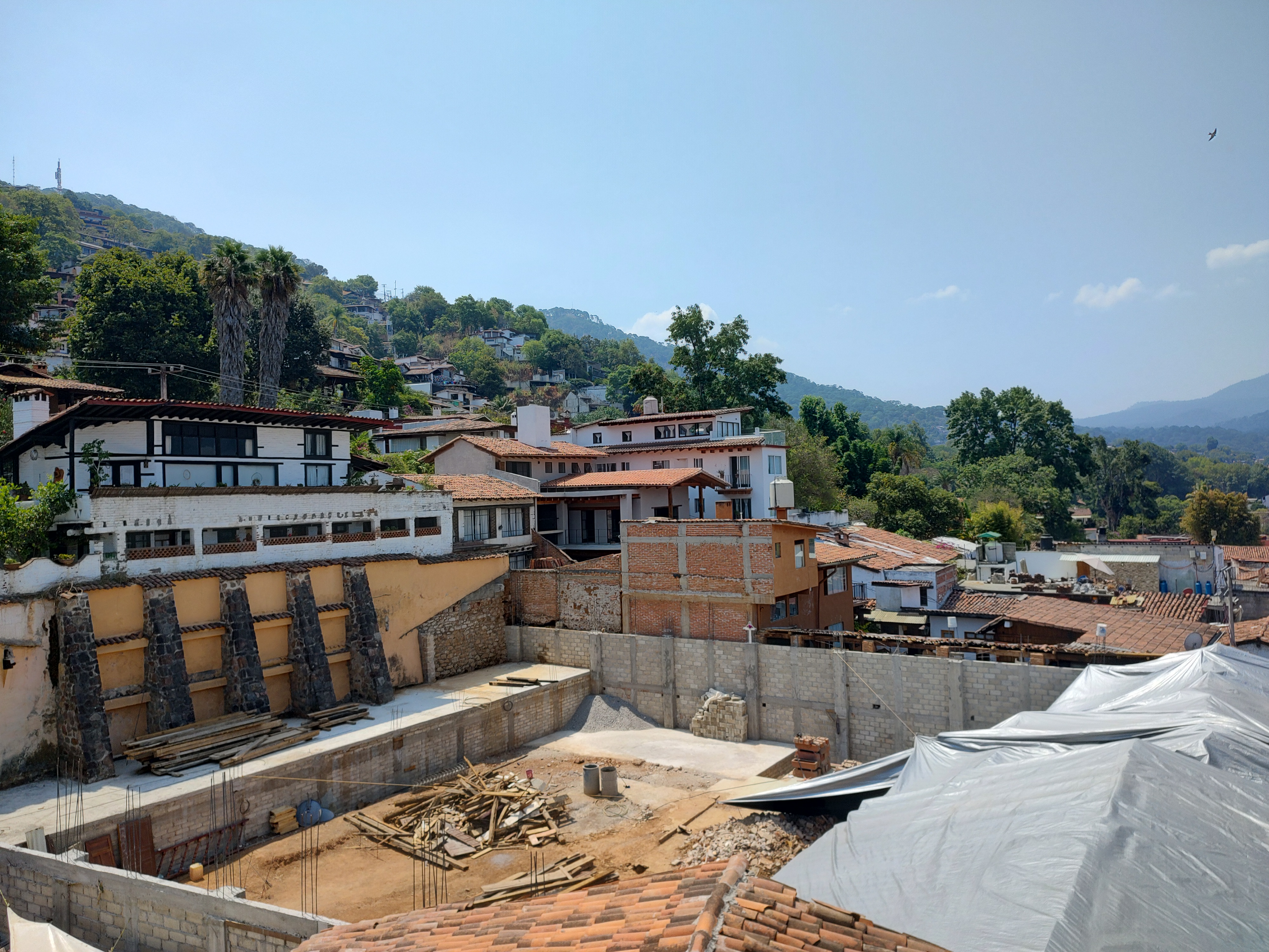 La Michoacana image 5