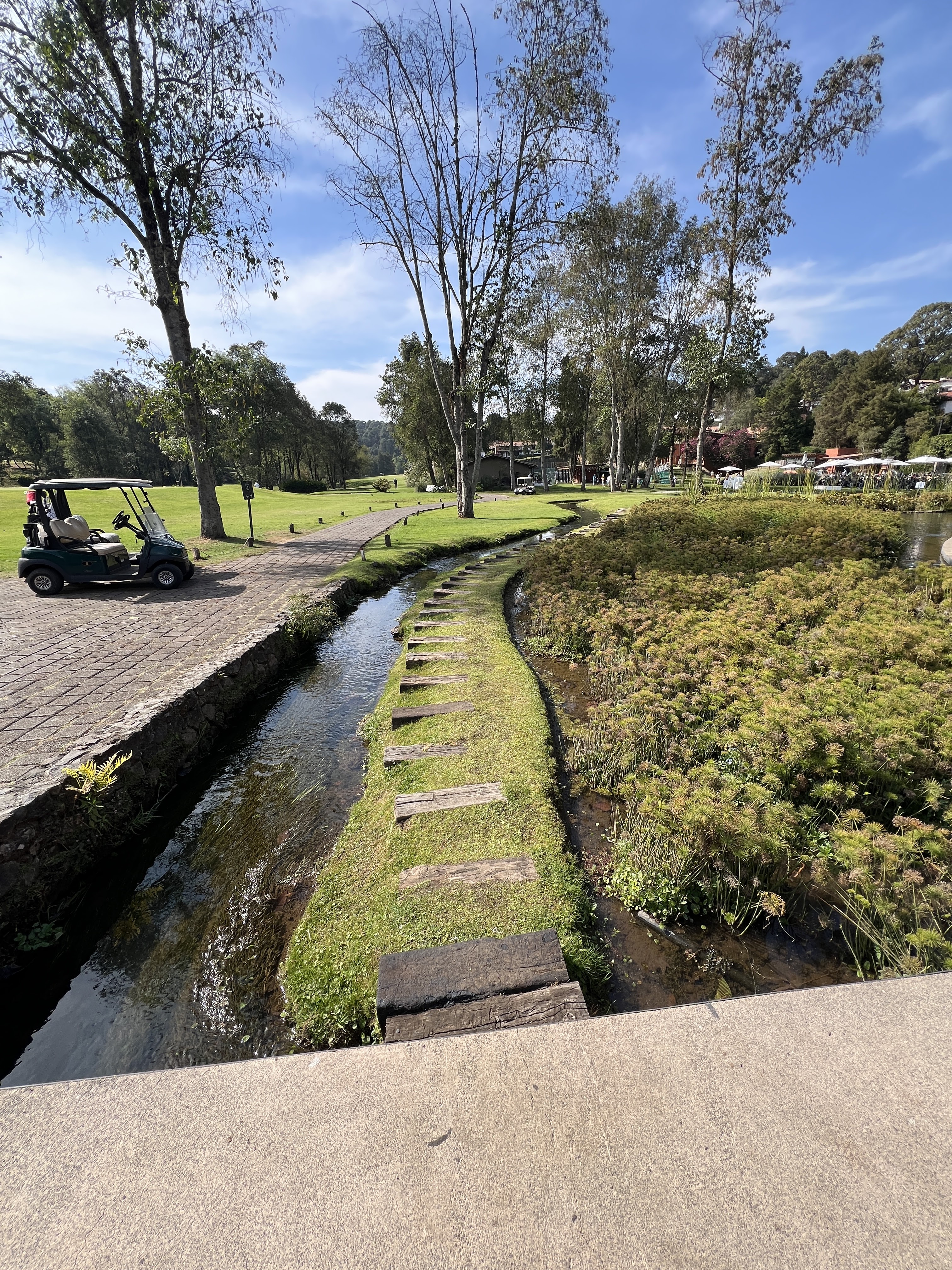 Restaurante Acuarima Avandaro image 4