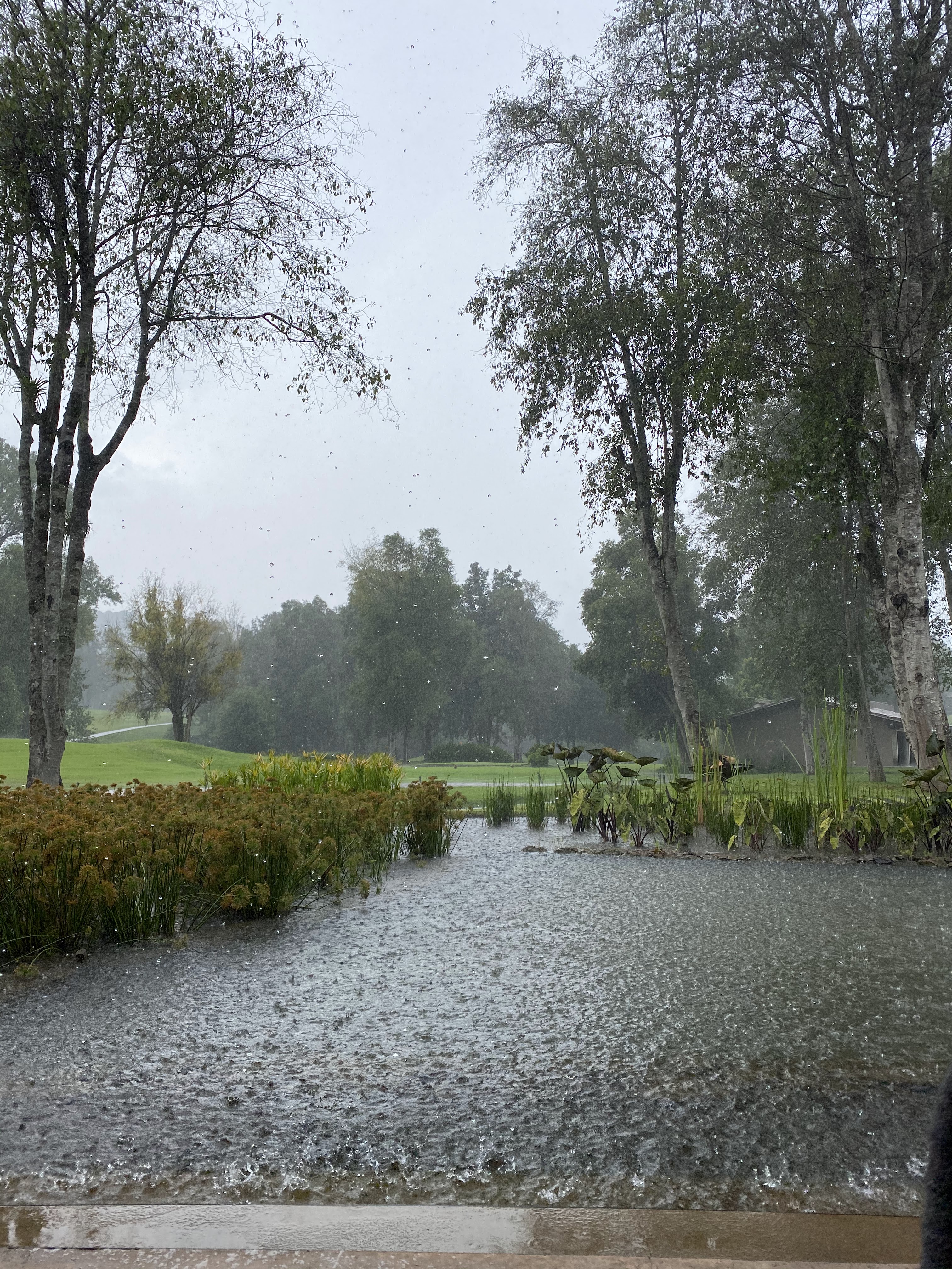 Restaurante Acuarima Avandaro image 6