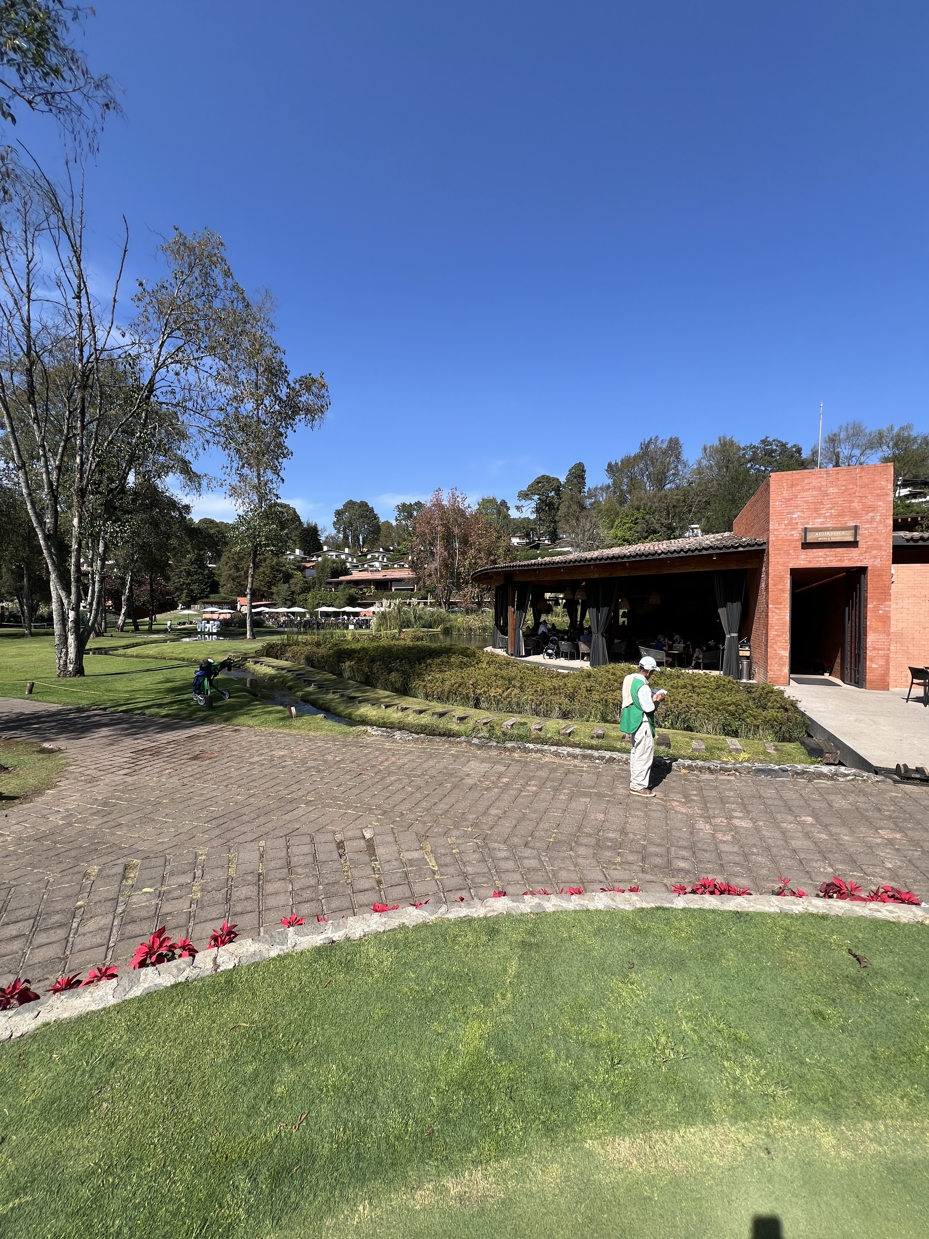 Restaurante Acuarima Avandaro image 8