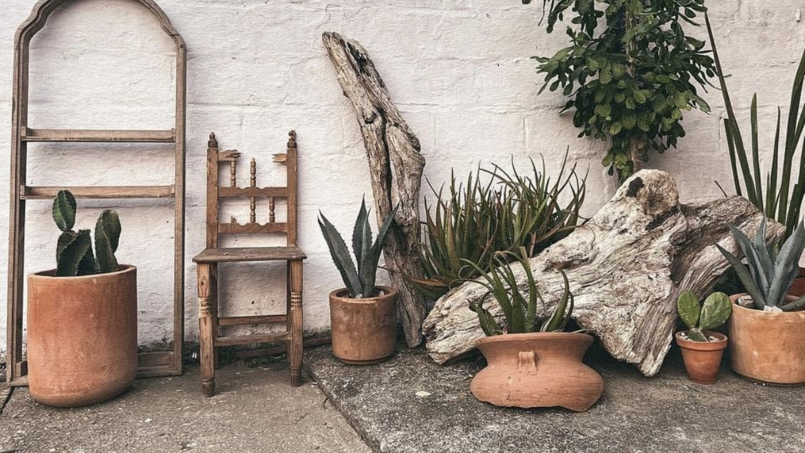 Casa Rosa Restaurant image 2