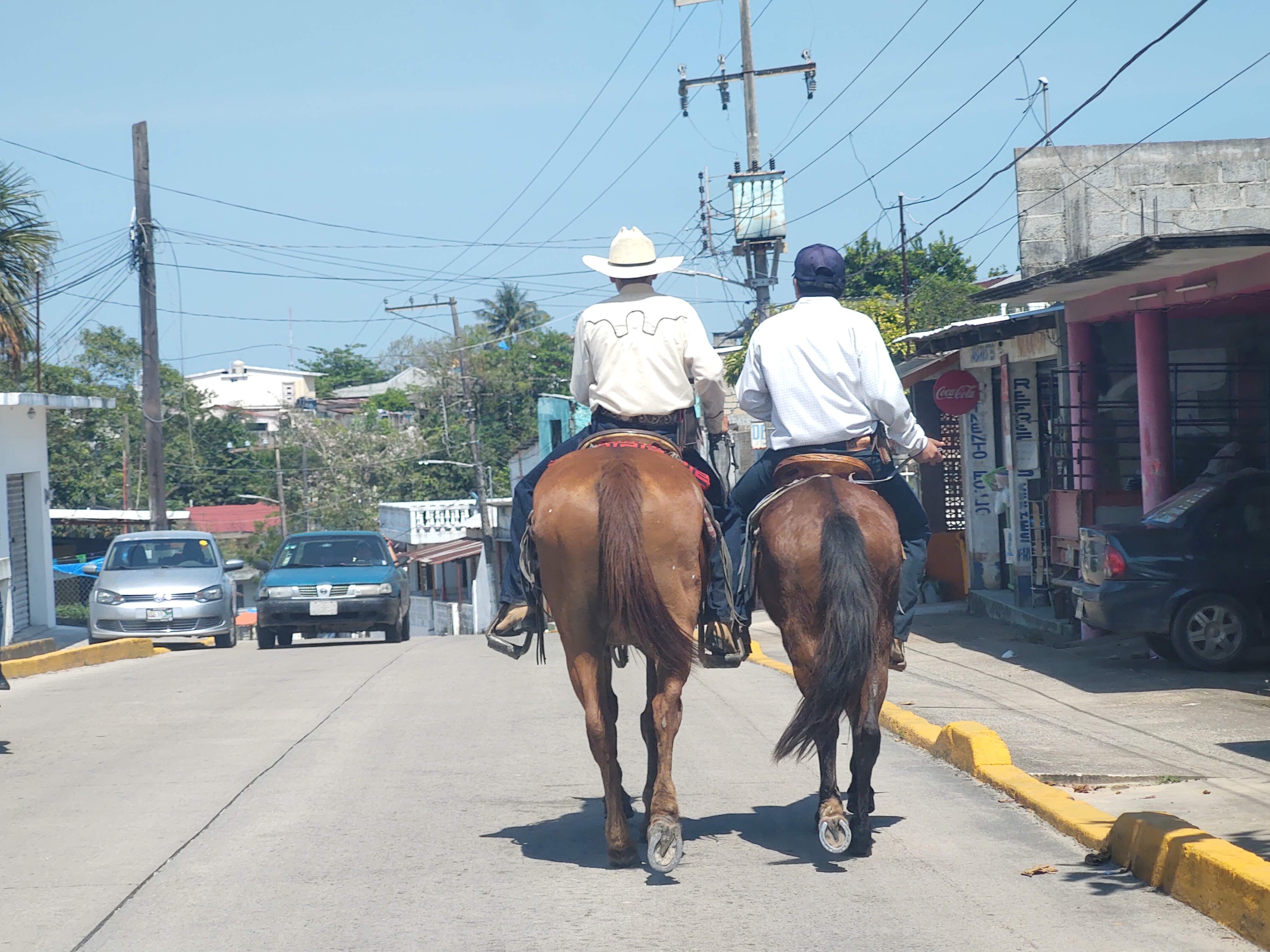 Pollos y costillas La Luna image 4