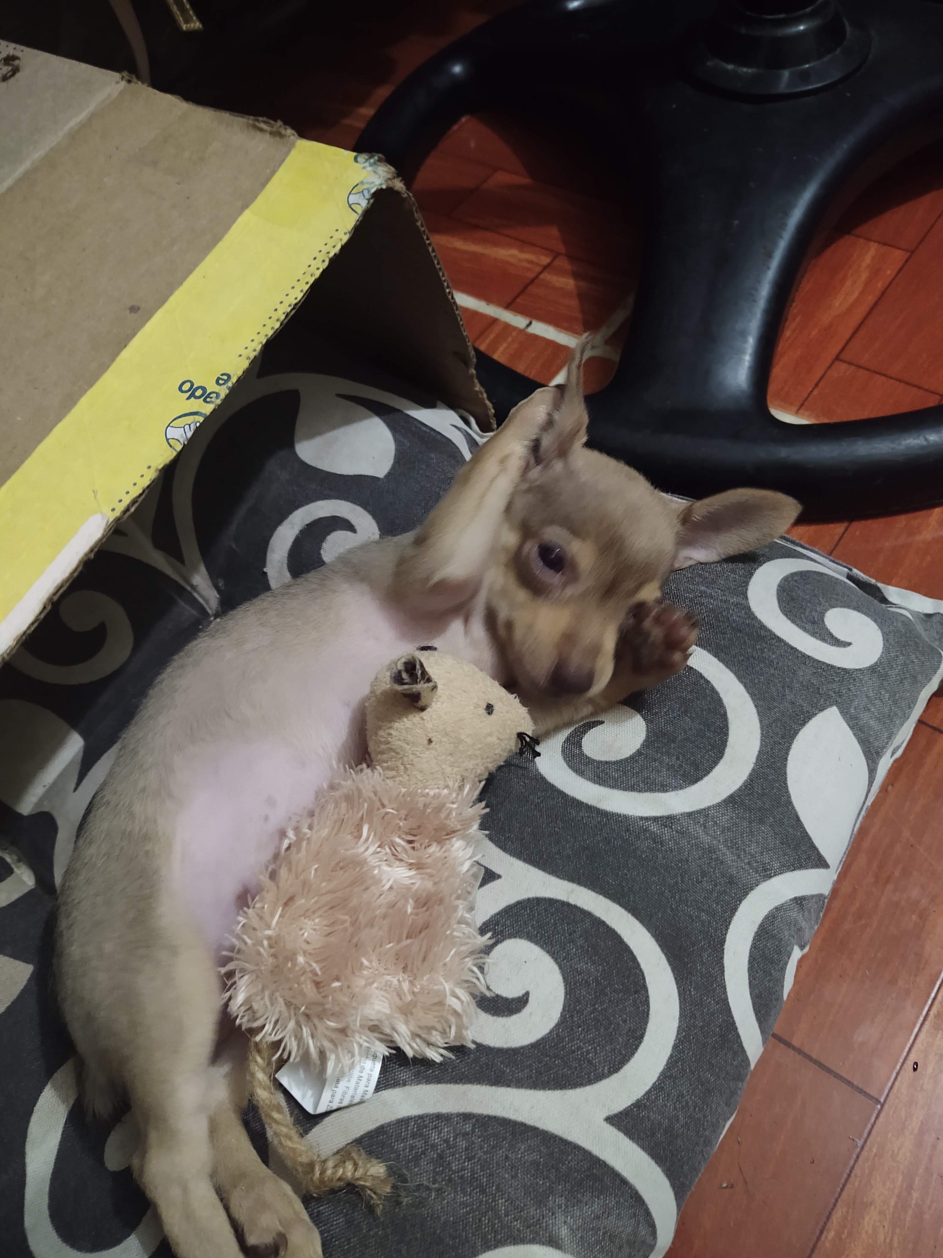 Pollos y costillas La Luna image 10