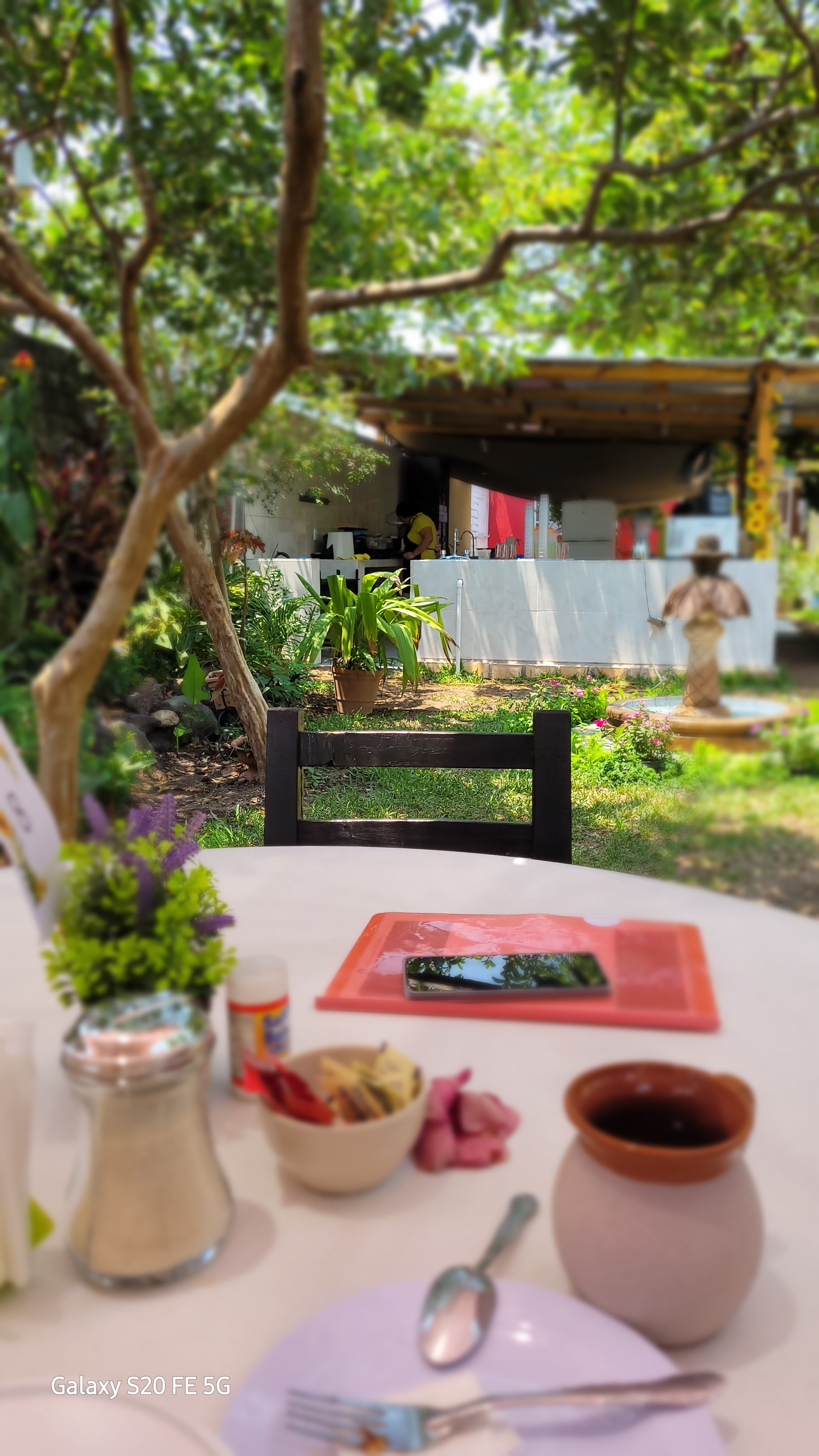 El jardín de los sabores image 10