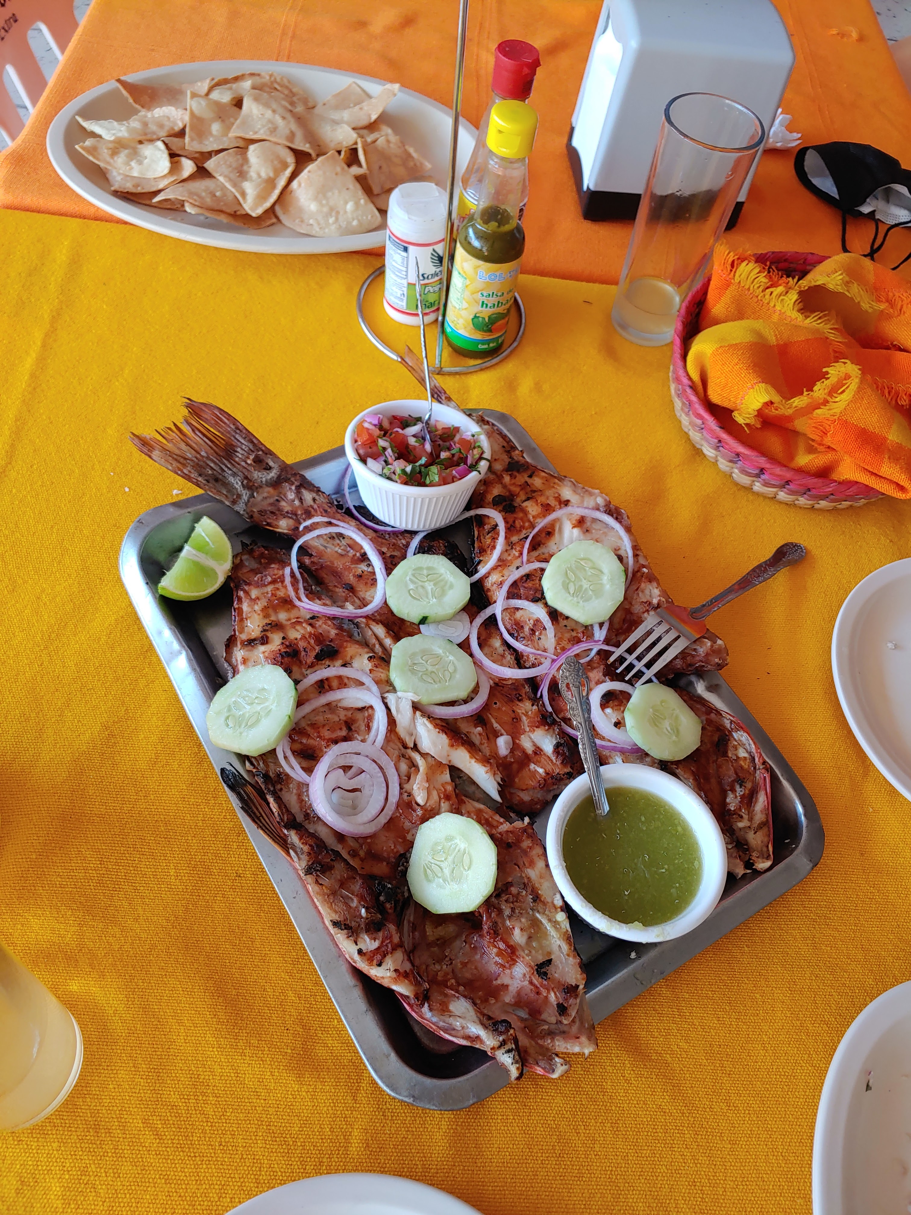 El tejaban silvestre image 2