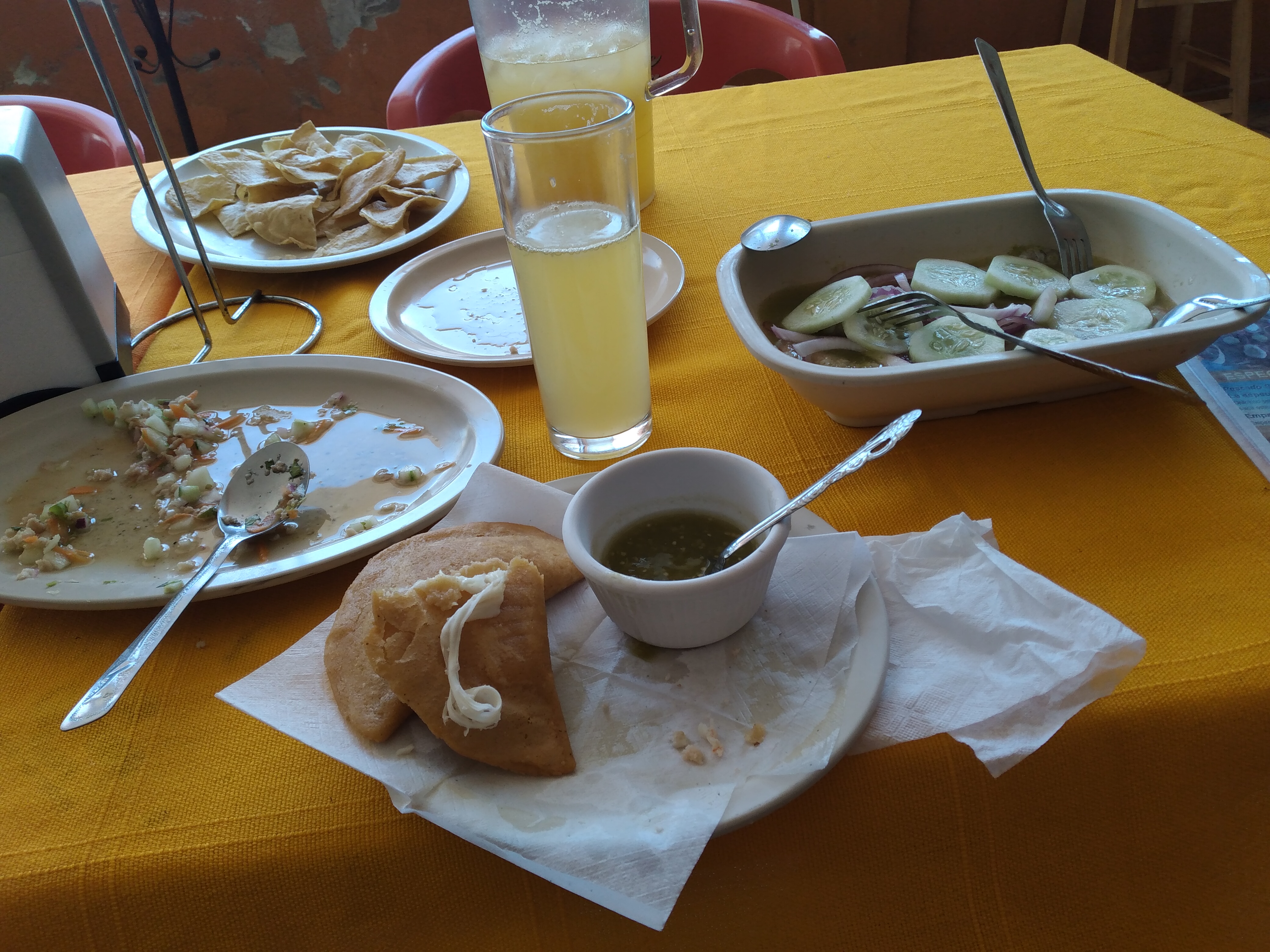 El tejaban silvestre image 3