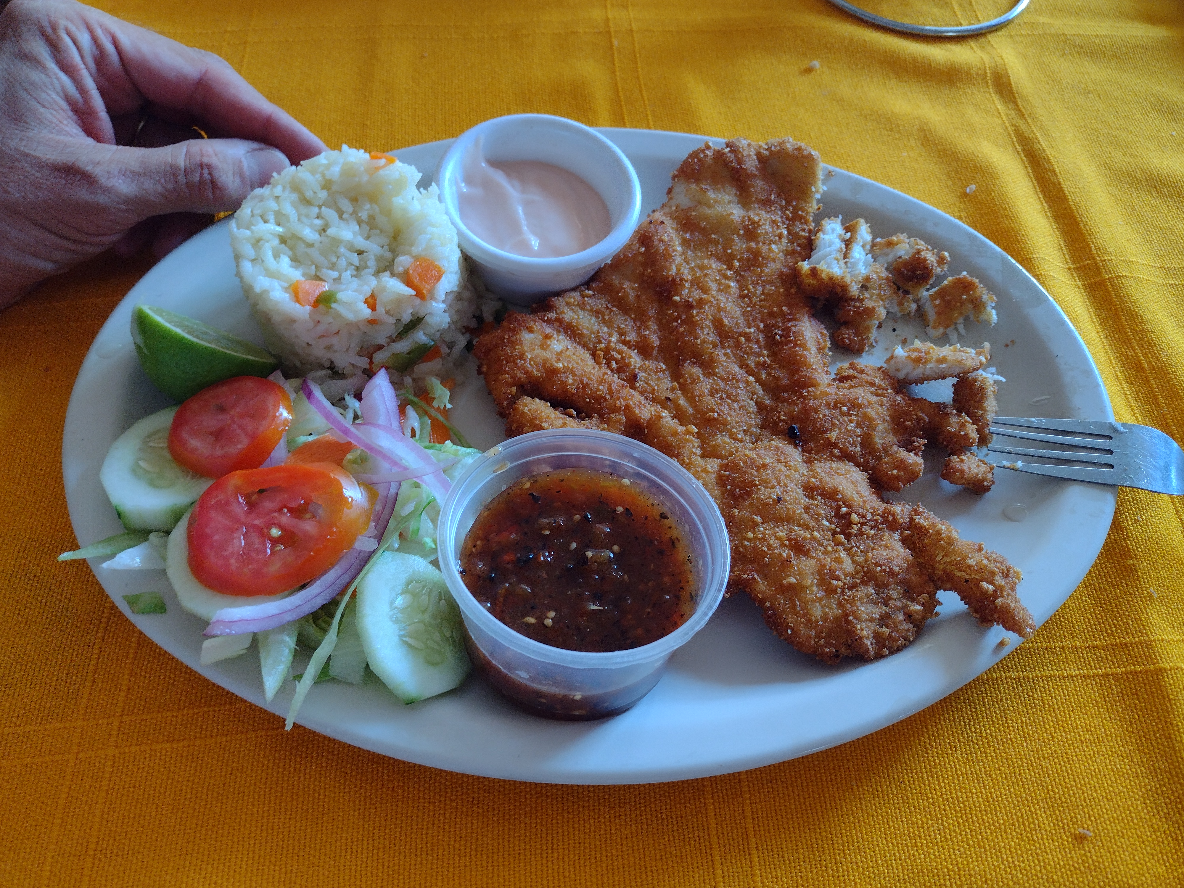 El tejaban silvestre image 4