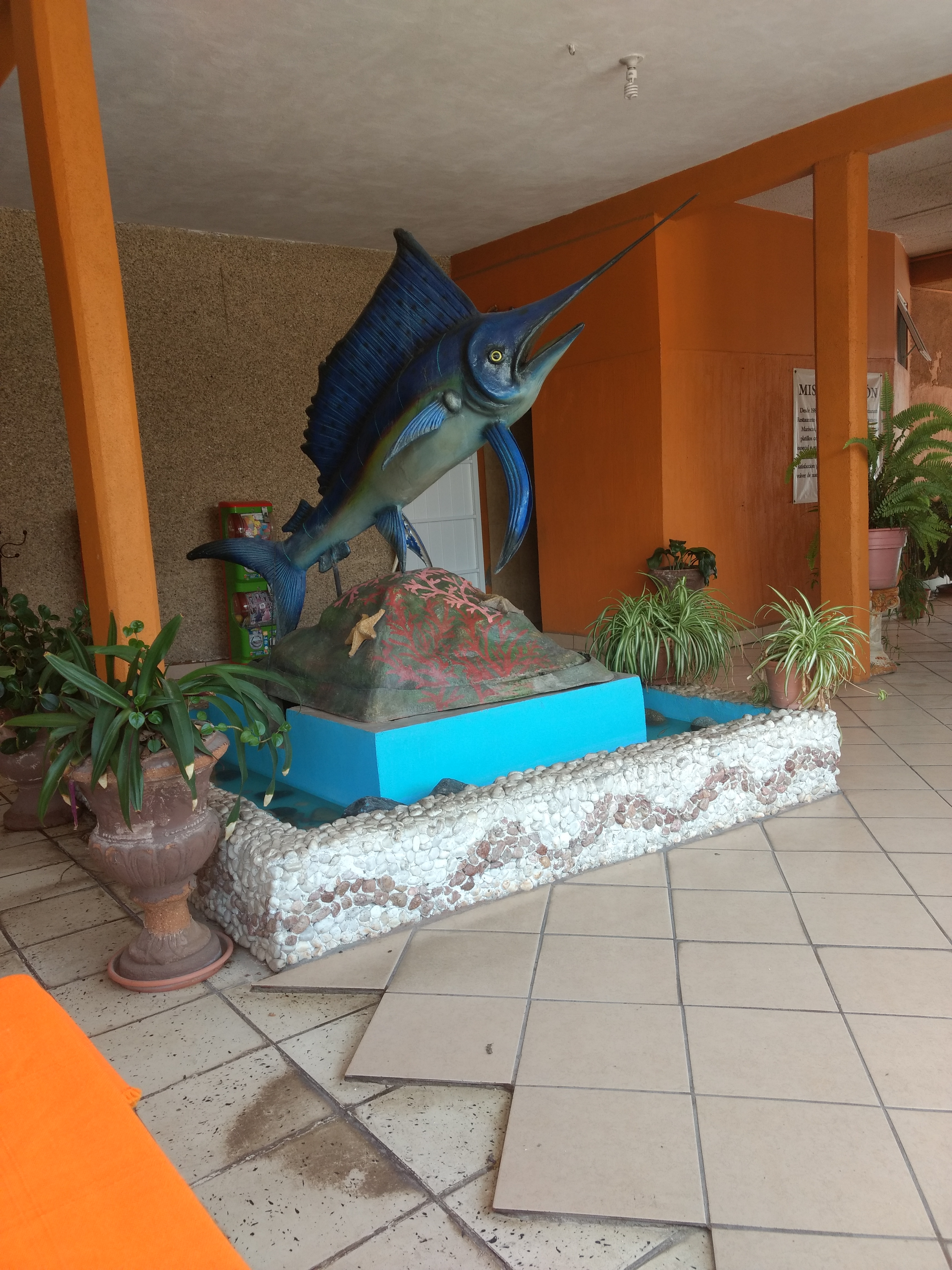 El tejaban silvestre image 5