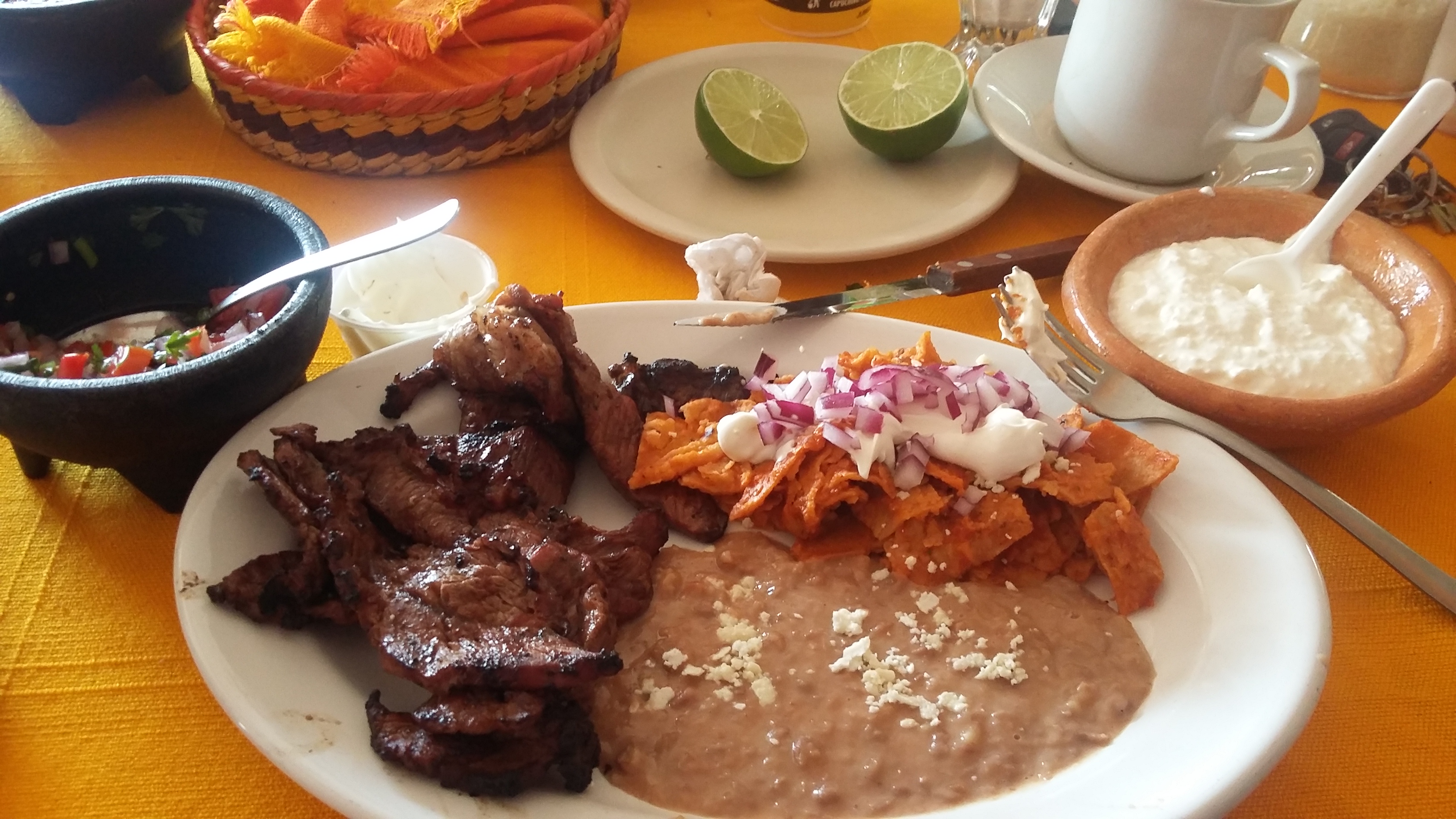 El tejaban silvestre image 6