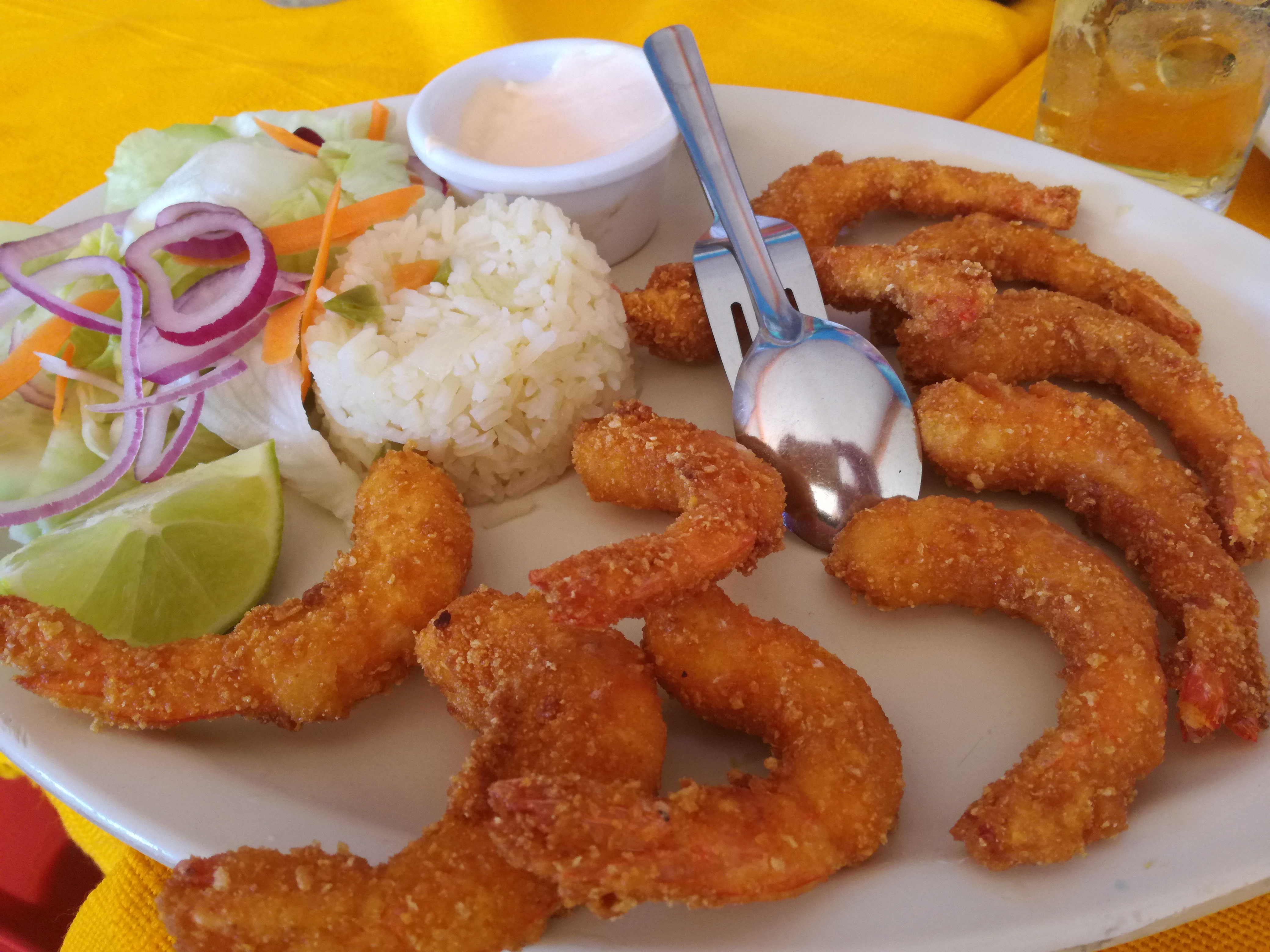 El tejaban silvestre image 7