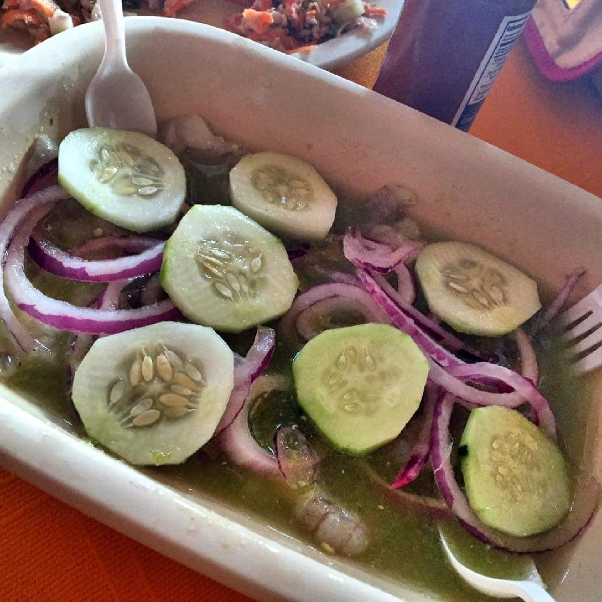 El tejaban silvestre image 8