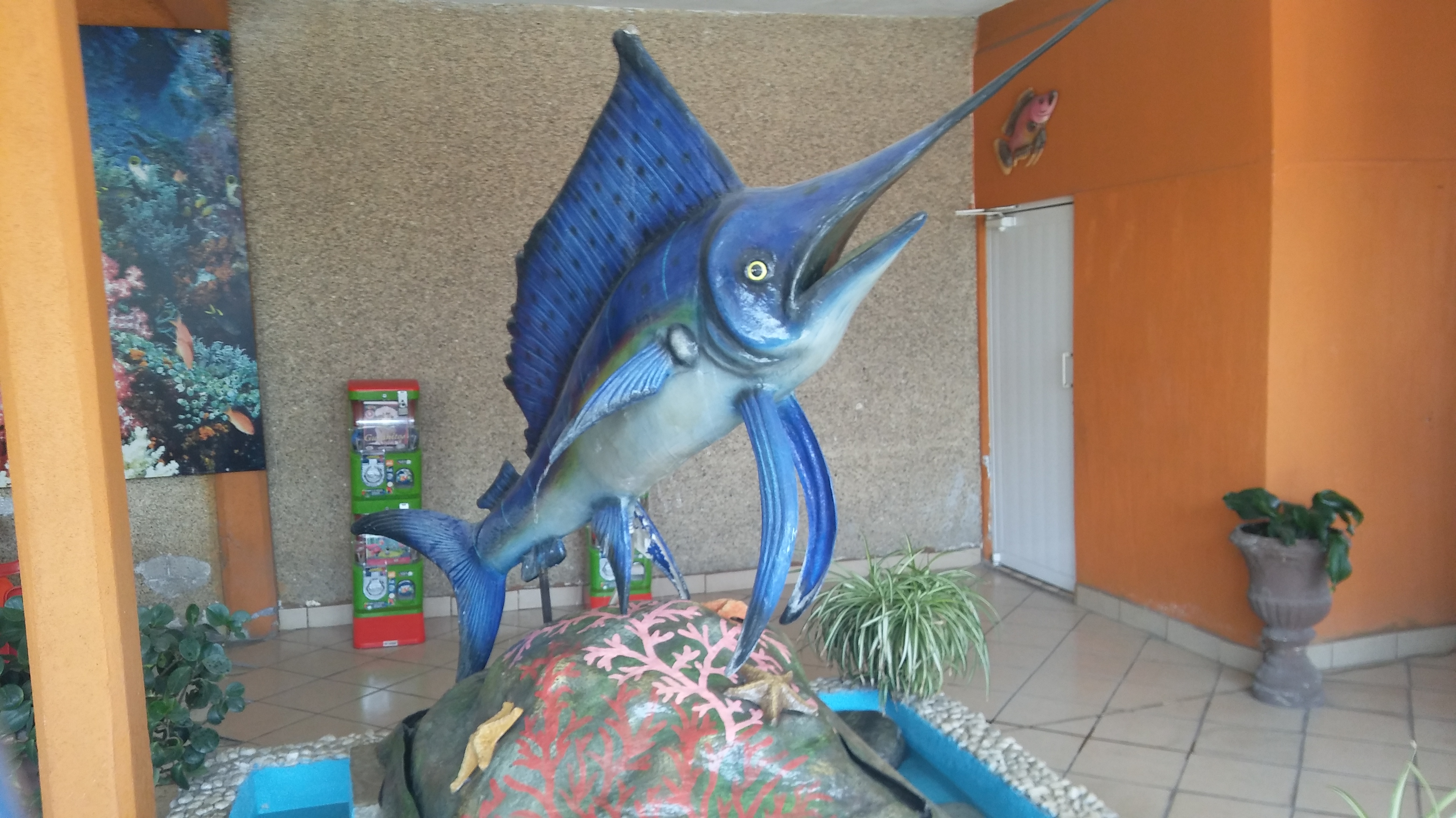 El tejaban silvestre image 9