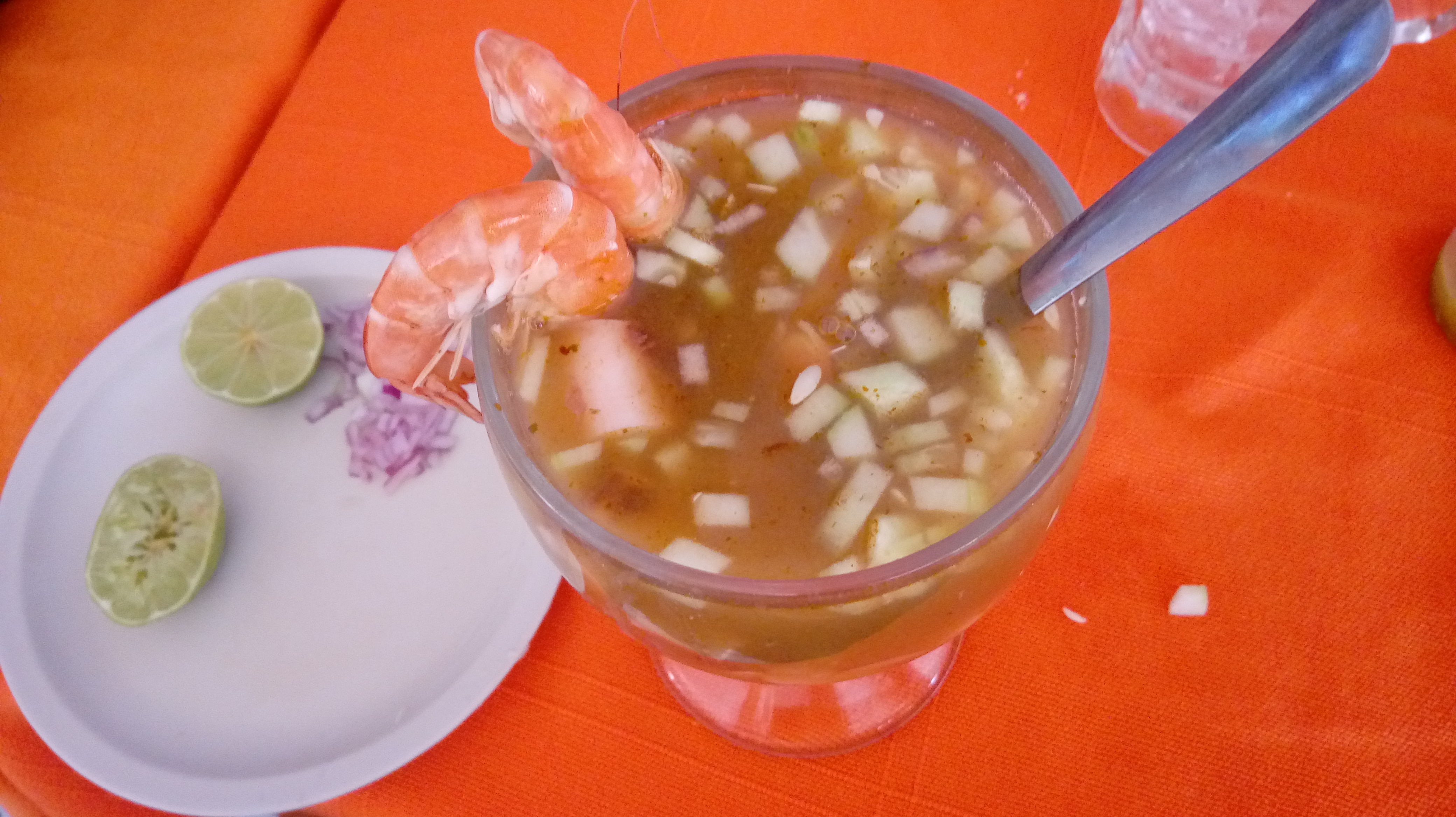 El tejaban silvestre image 10