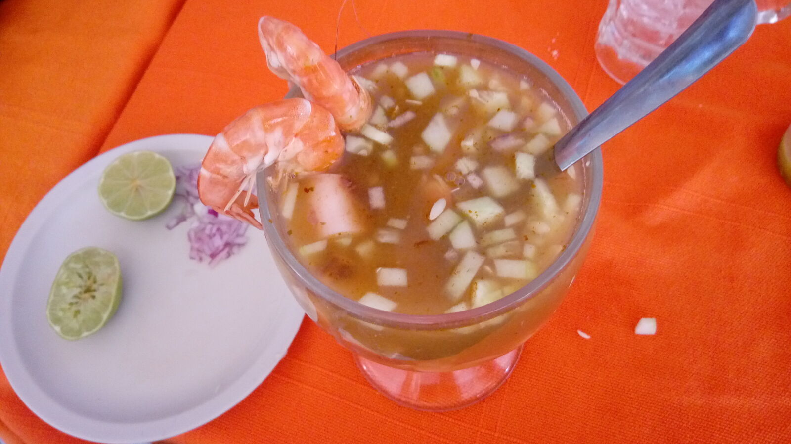 El tejaban silvestre image 10